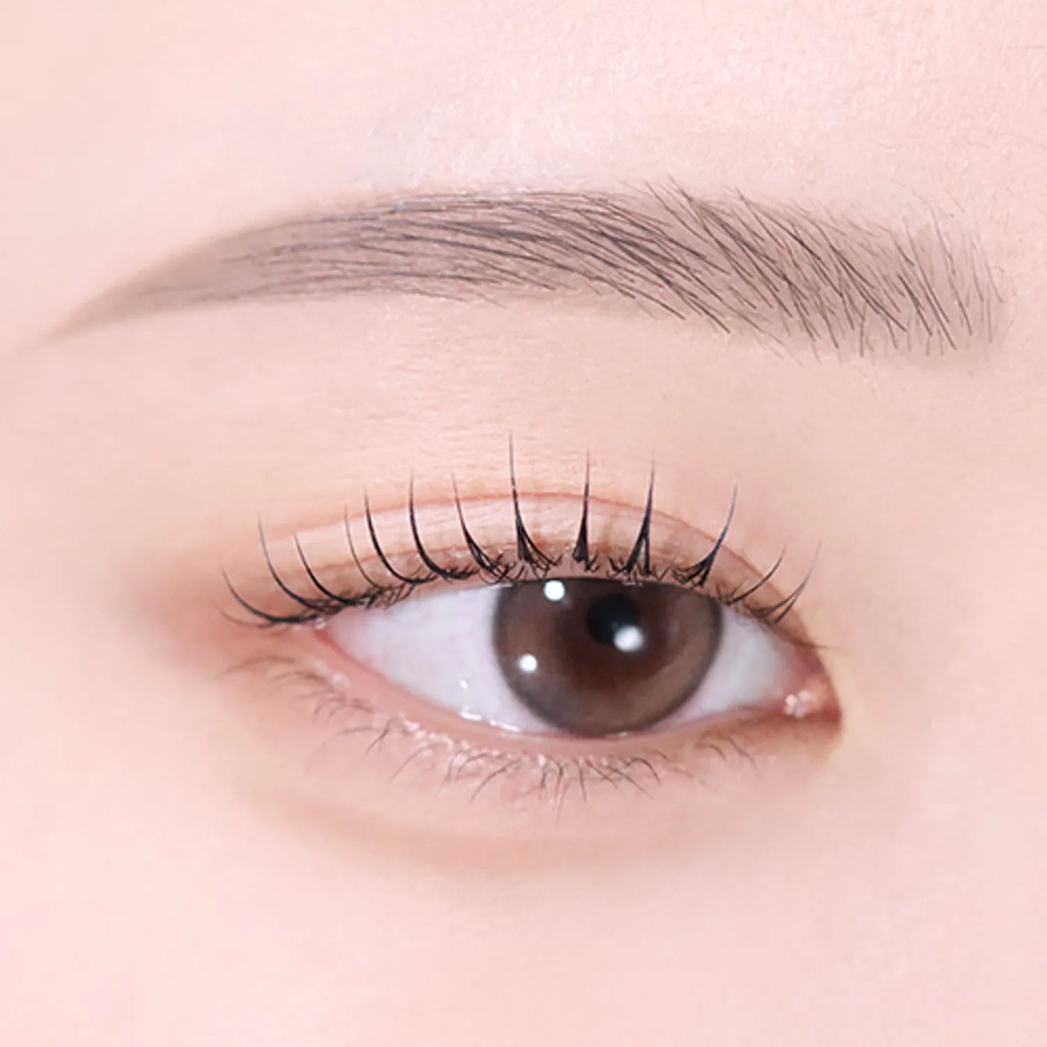 peripera Speedy Eyebrow Auto Pencil (5 Colors)