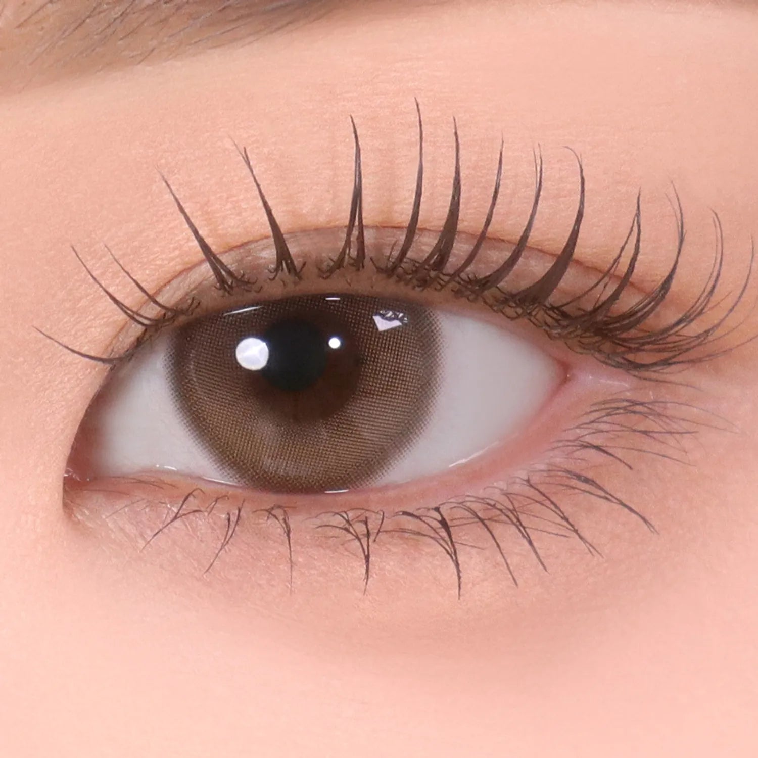 mude. Inspire Skinny Curling Mascara 1+1 Set (Black / Mute Brown)