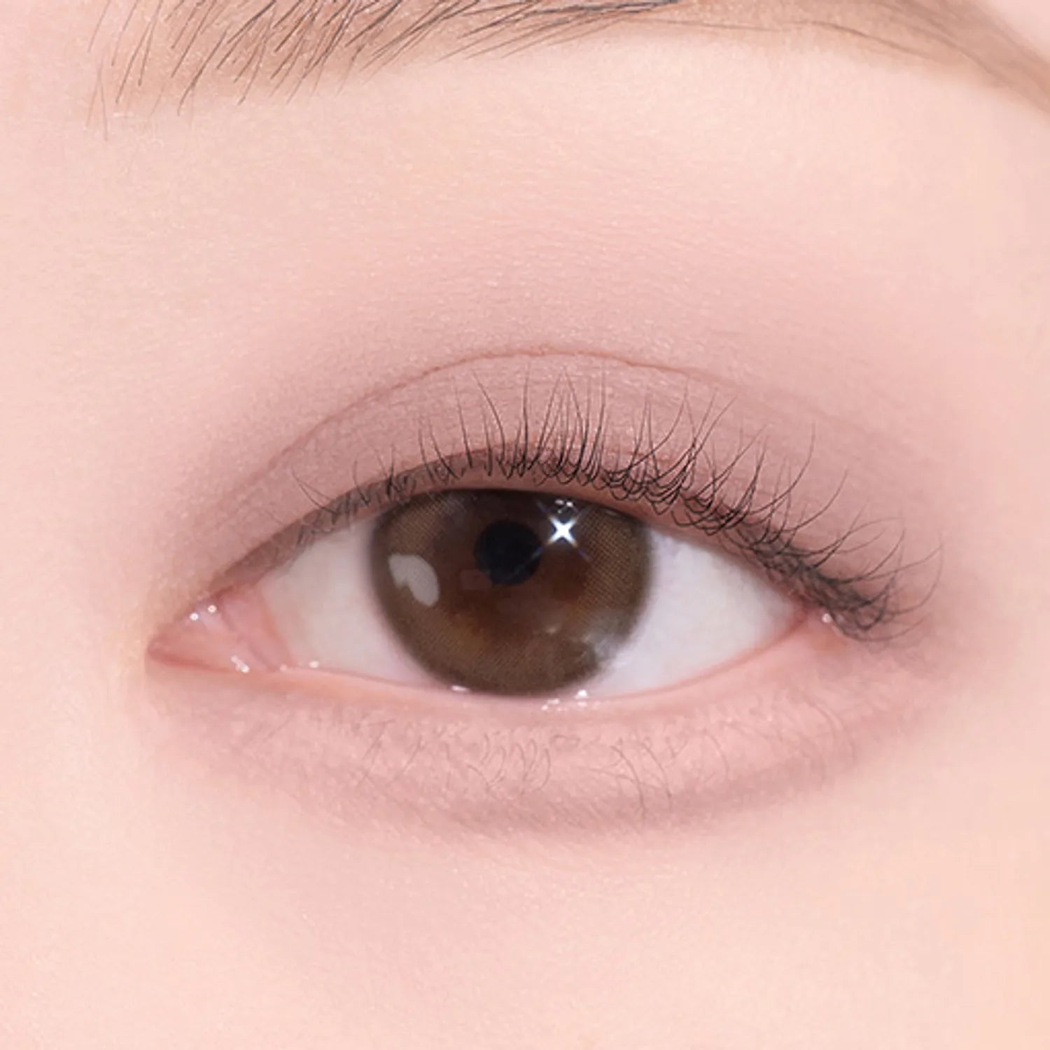 dasique Blooming Single Shadow (9 Colors)