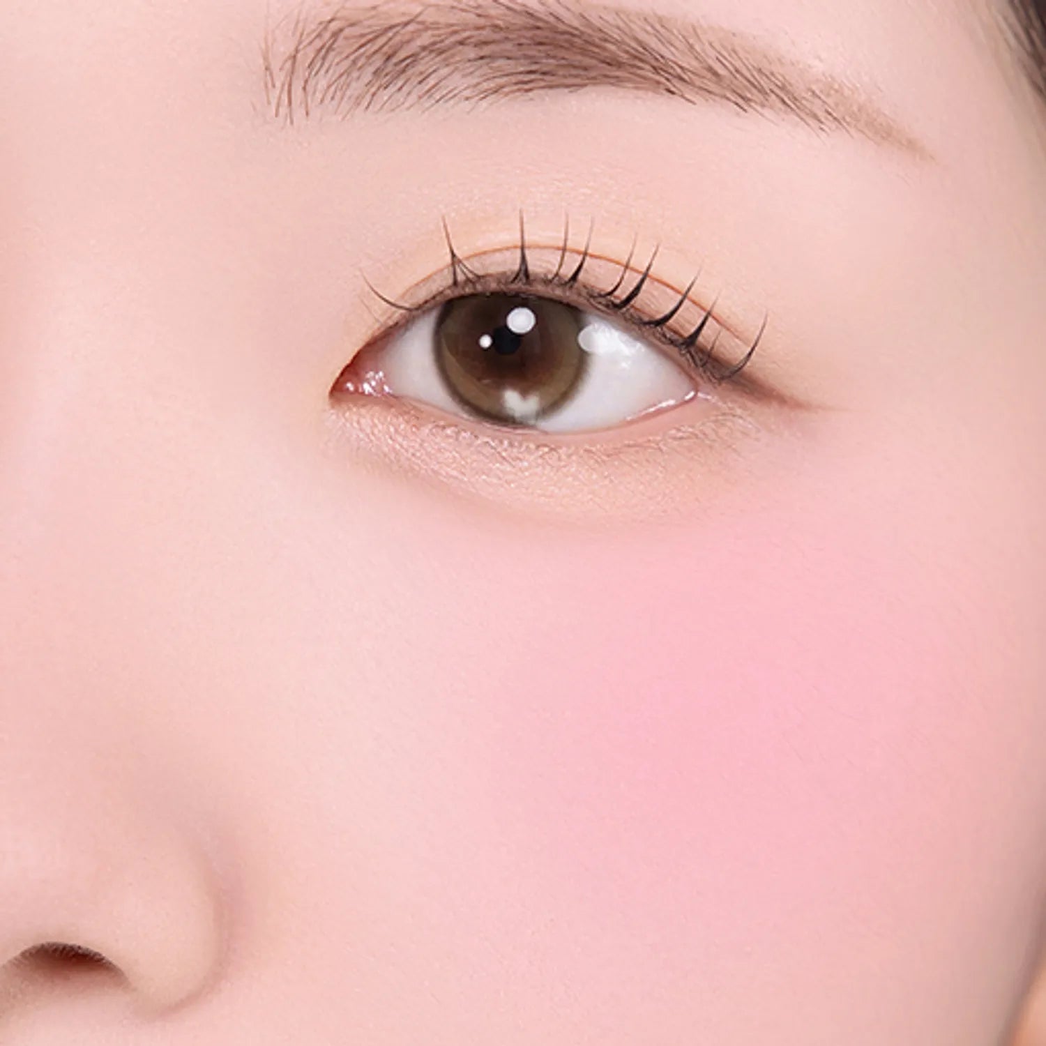 2aN Dual Cheek (Set/Single) (19 Colors)