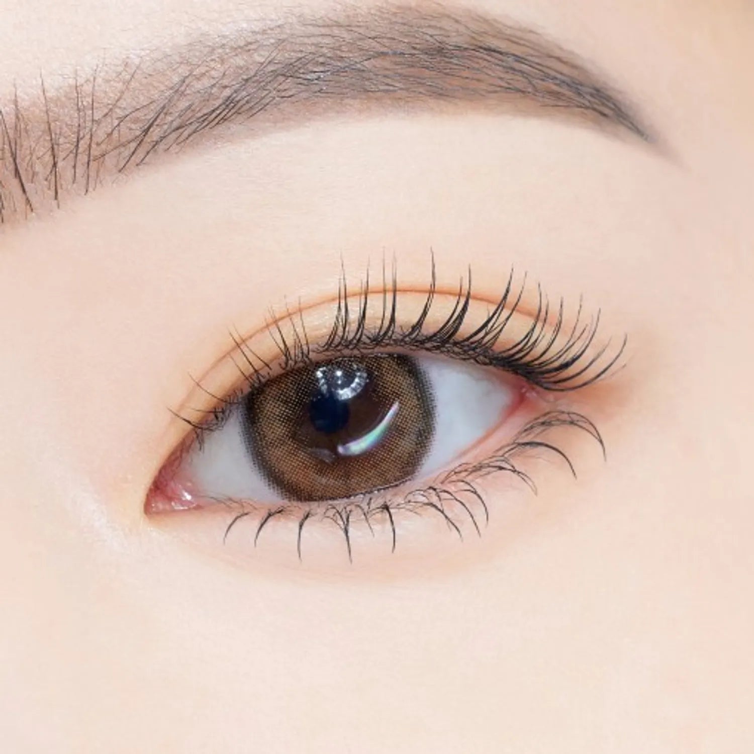 ETUDE Curl Fix Mascara 1+1 Set (4 Options)