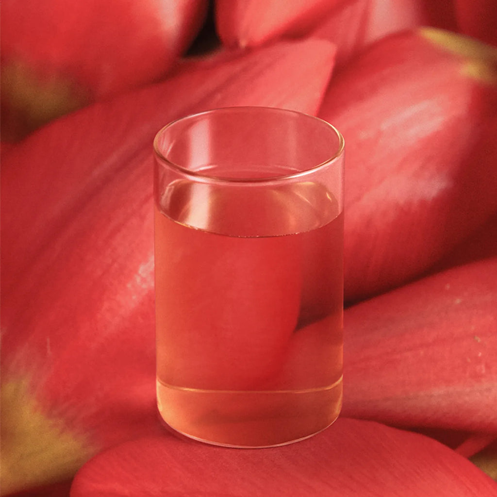 OSULLOC Camellia Forest Tea 3ea