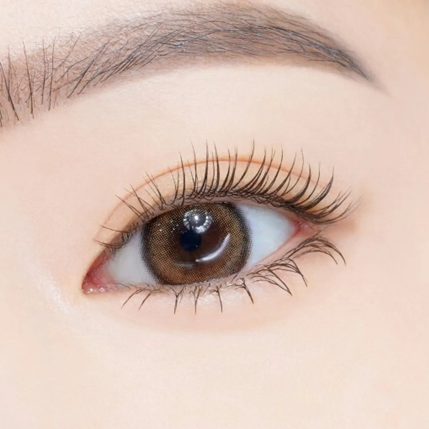 ETUDE Curl Fix Mascara 1+1 Set (4 Options)