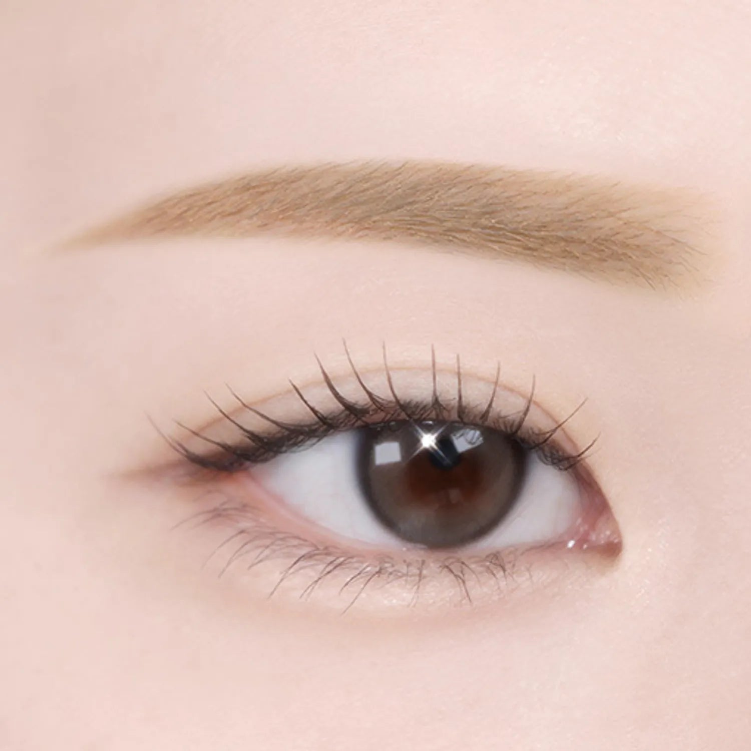 TWOSLASHFOUR Shining Brow Color Cara (3 Colors)