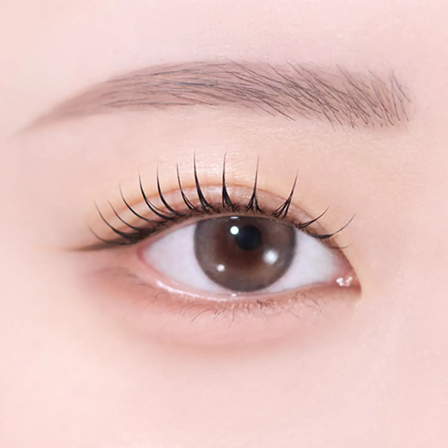 NAMING. Perpectail Eye Designing Pencil Slim Liner (Set/Single) (11 Colors)