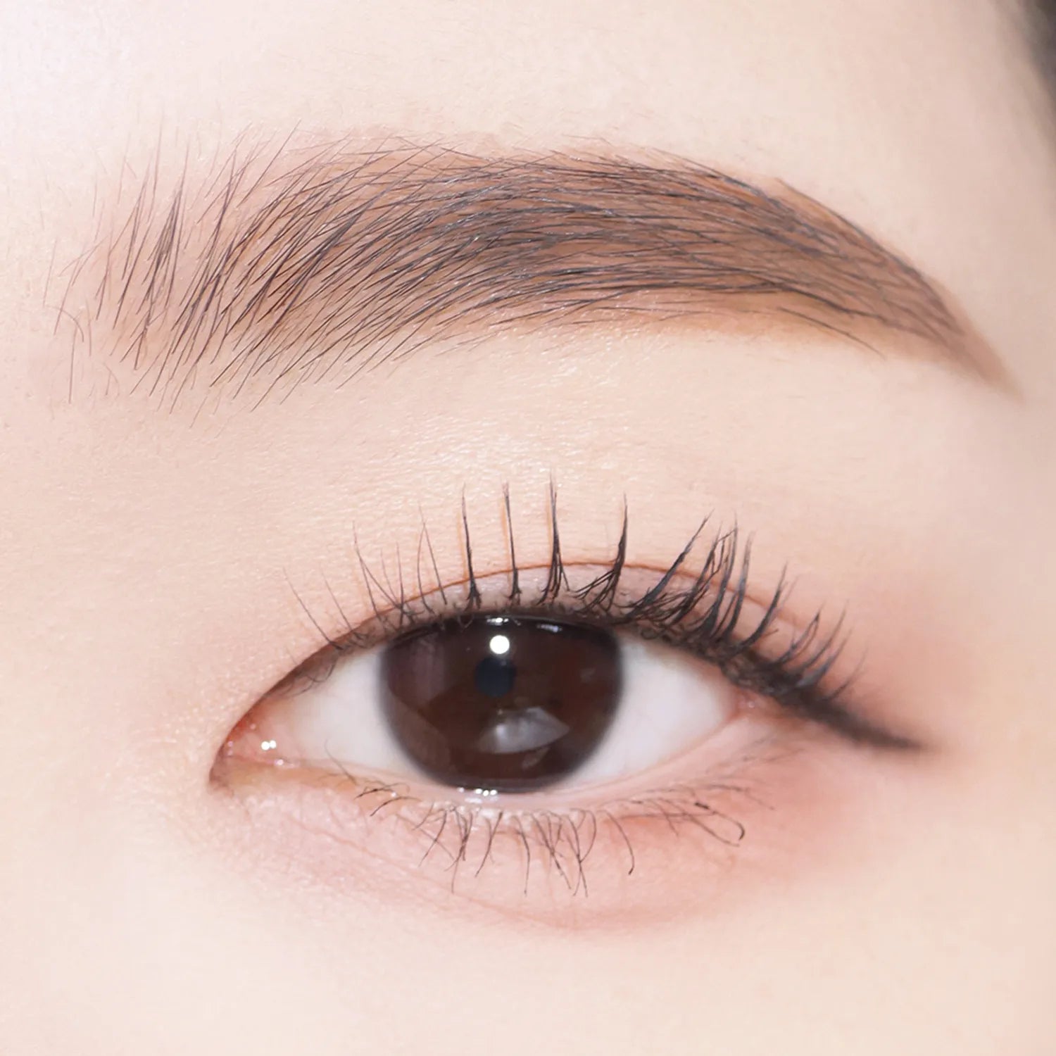 COSNORI Easy Draw Auto Eyebrow (5 Colors)