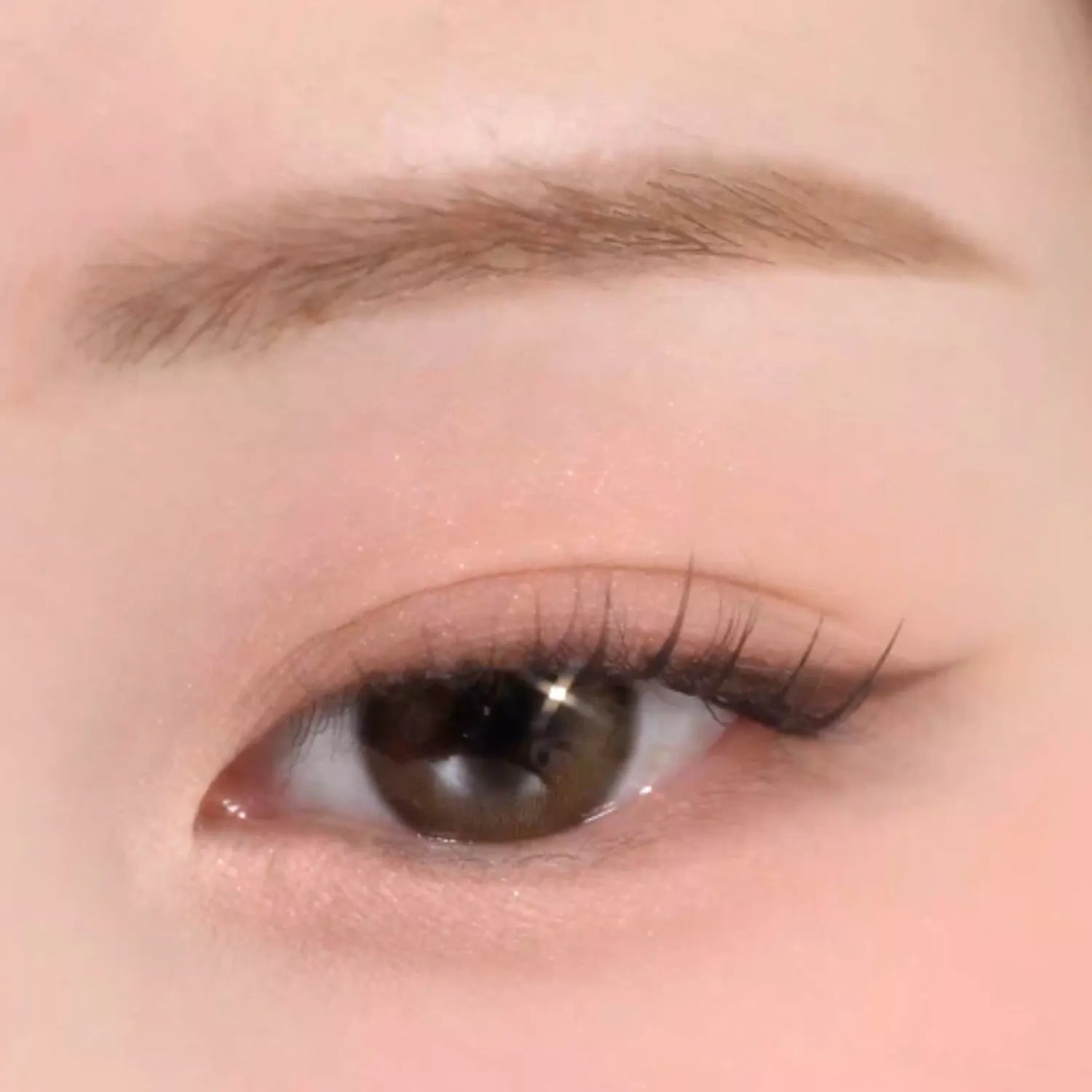 lilybyred Dewy Fit Palette (7 Options)