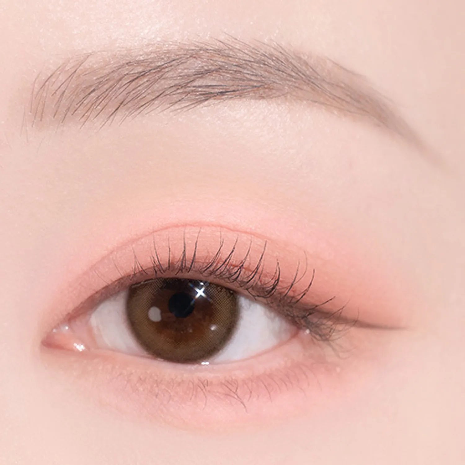 dasique Shadow Palette (Set/Single) (21 Colors)
