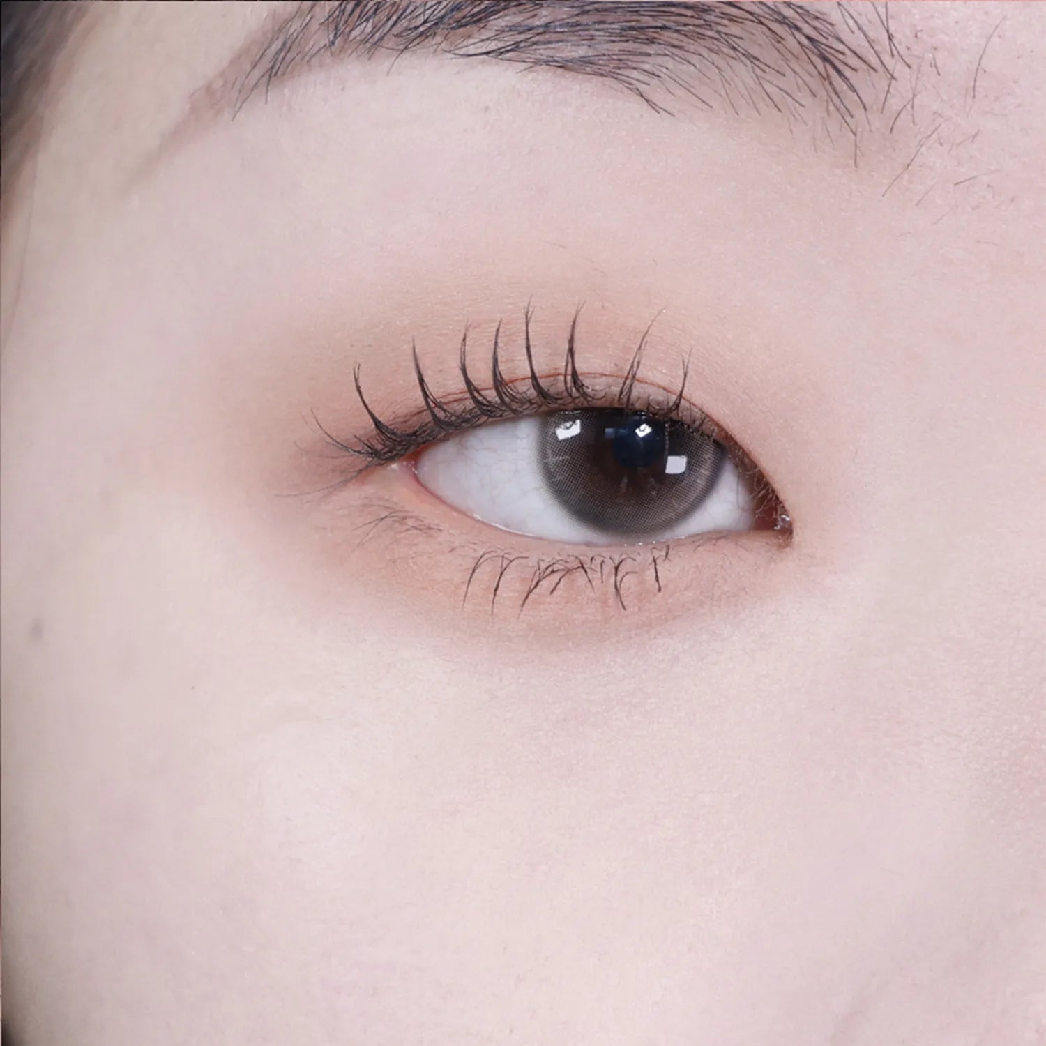 andear Single Eye Shadow (6 Colors)