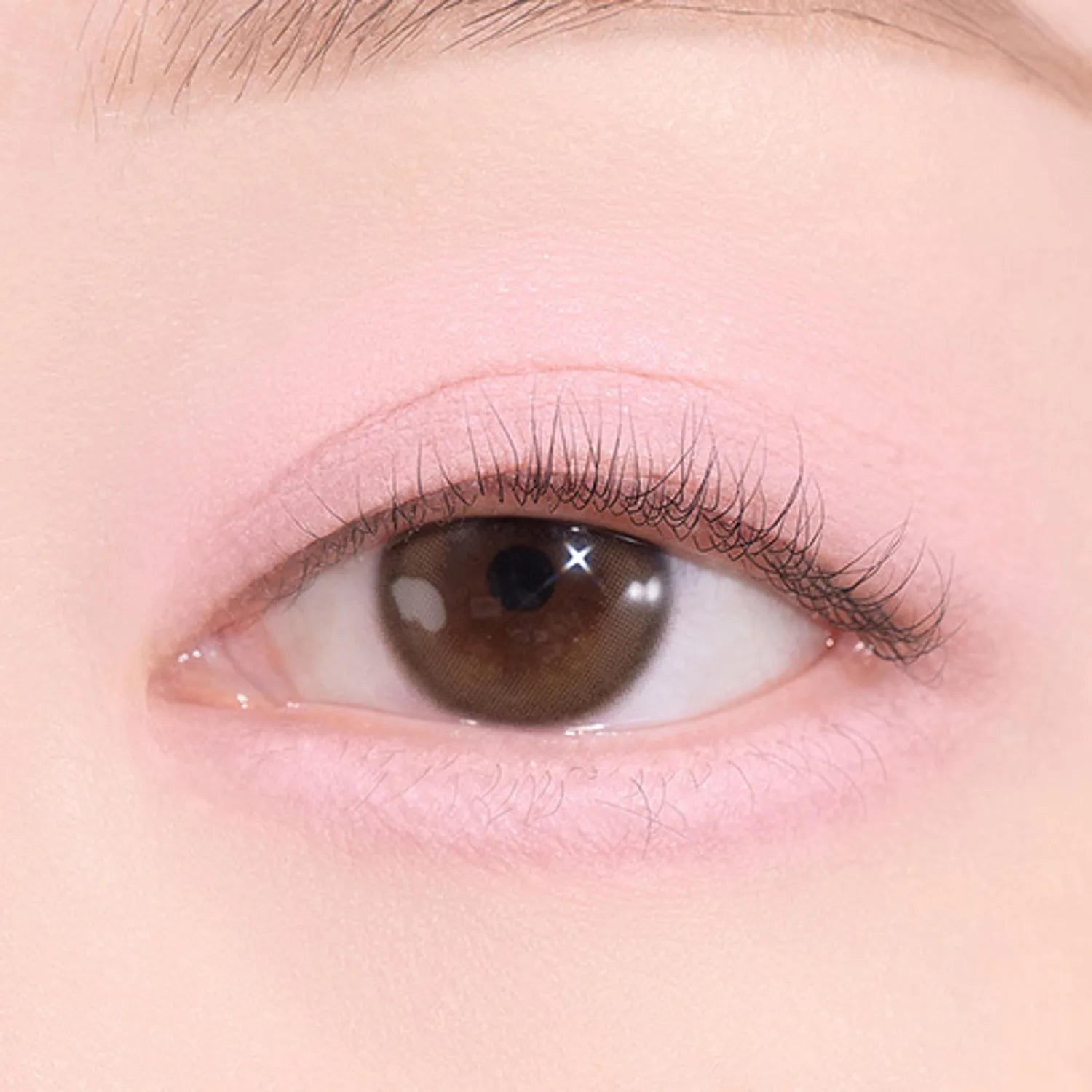 dasique Blooming Single Shadow (9 Colors)