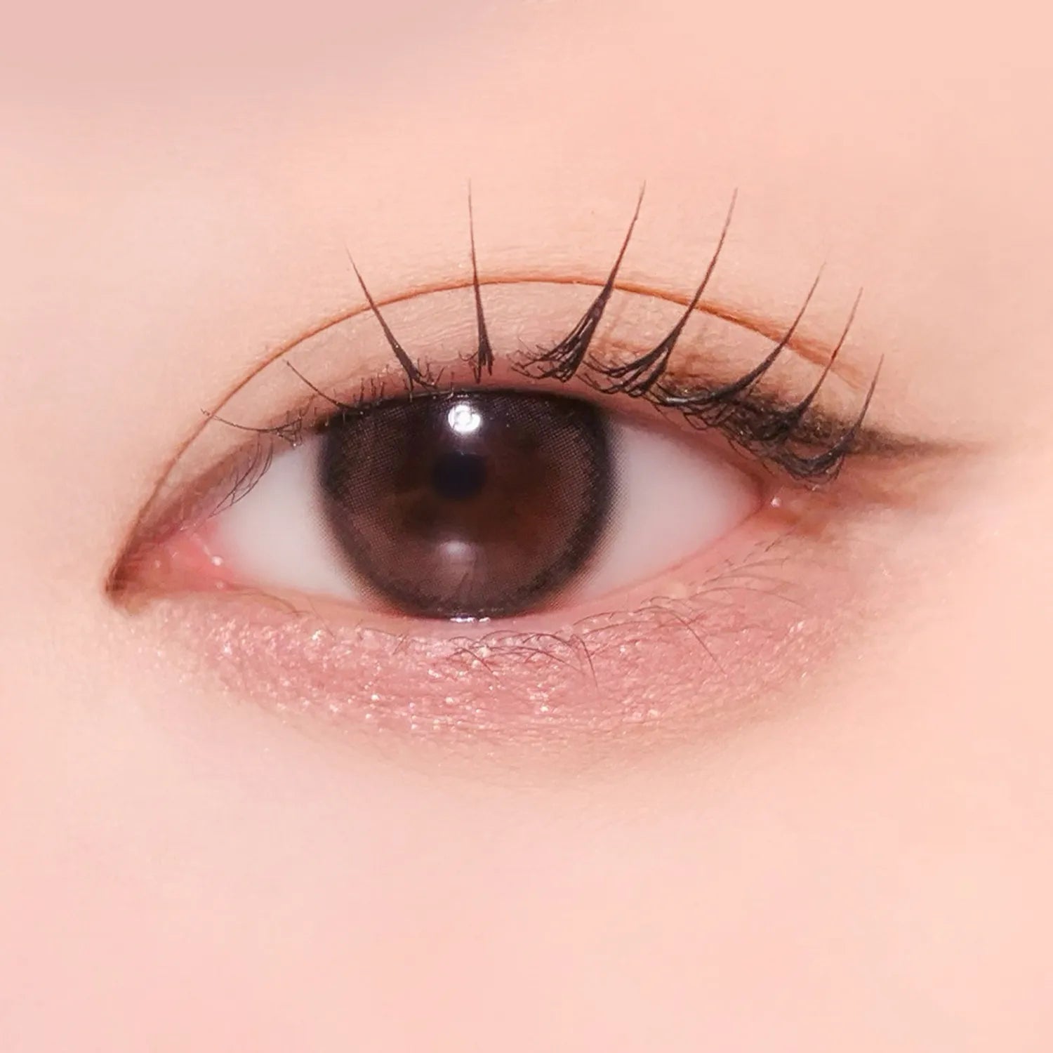 AMUSE Everlasting Eye Pencil (6 Colors)