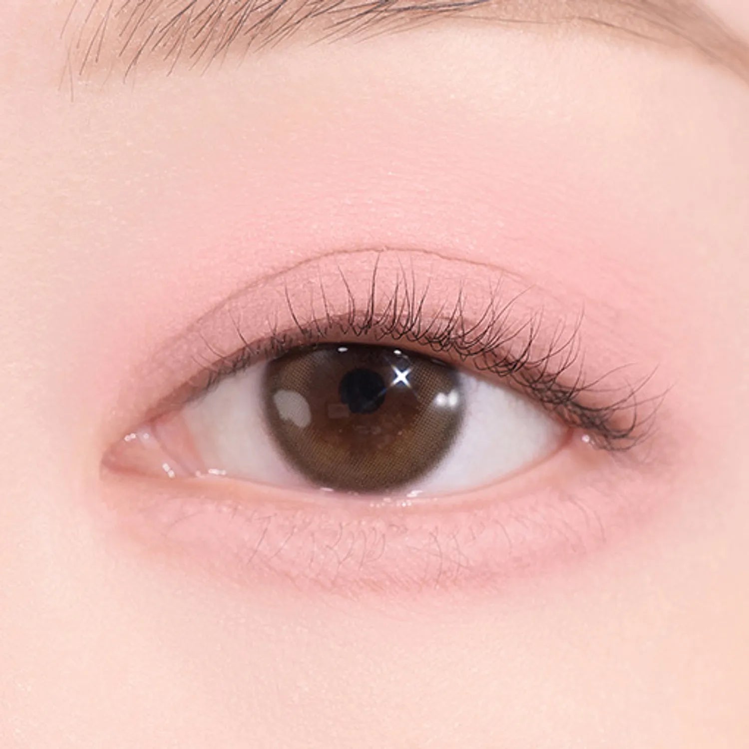 dasique Blooming Single Shadow (9 Colors)