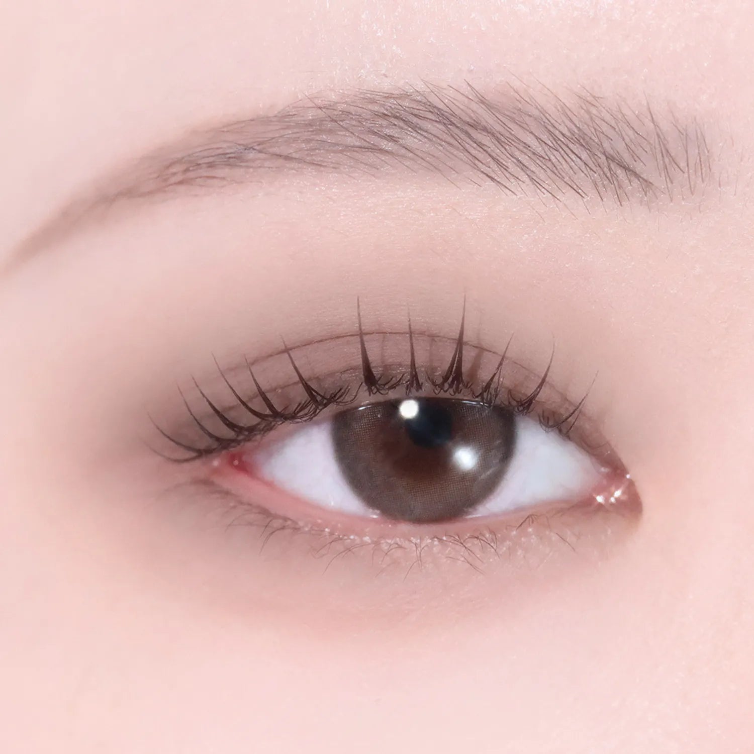 hince Single Eyeshadow (25 Colors)