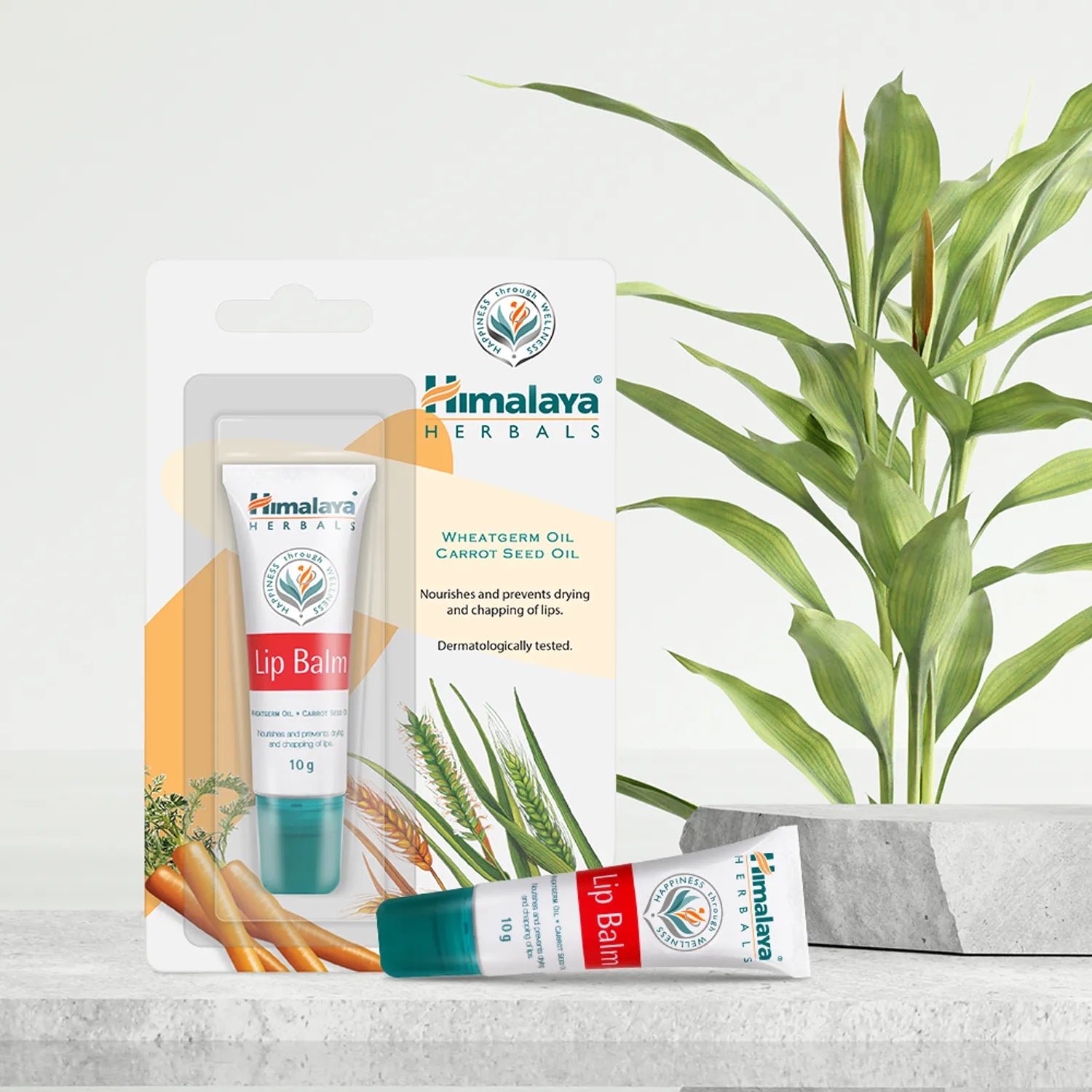 Himalaya Lip Balm 10g