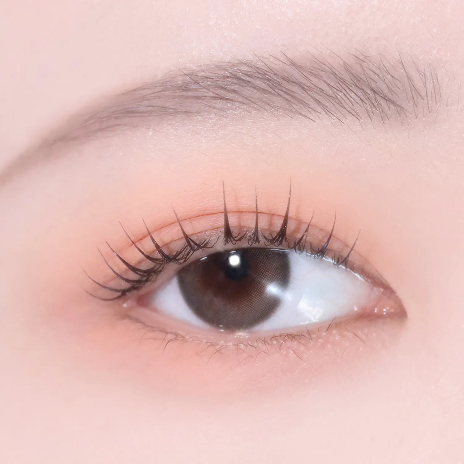 hince Single Eyeshadow (25 Colors)