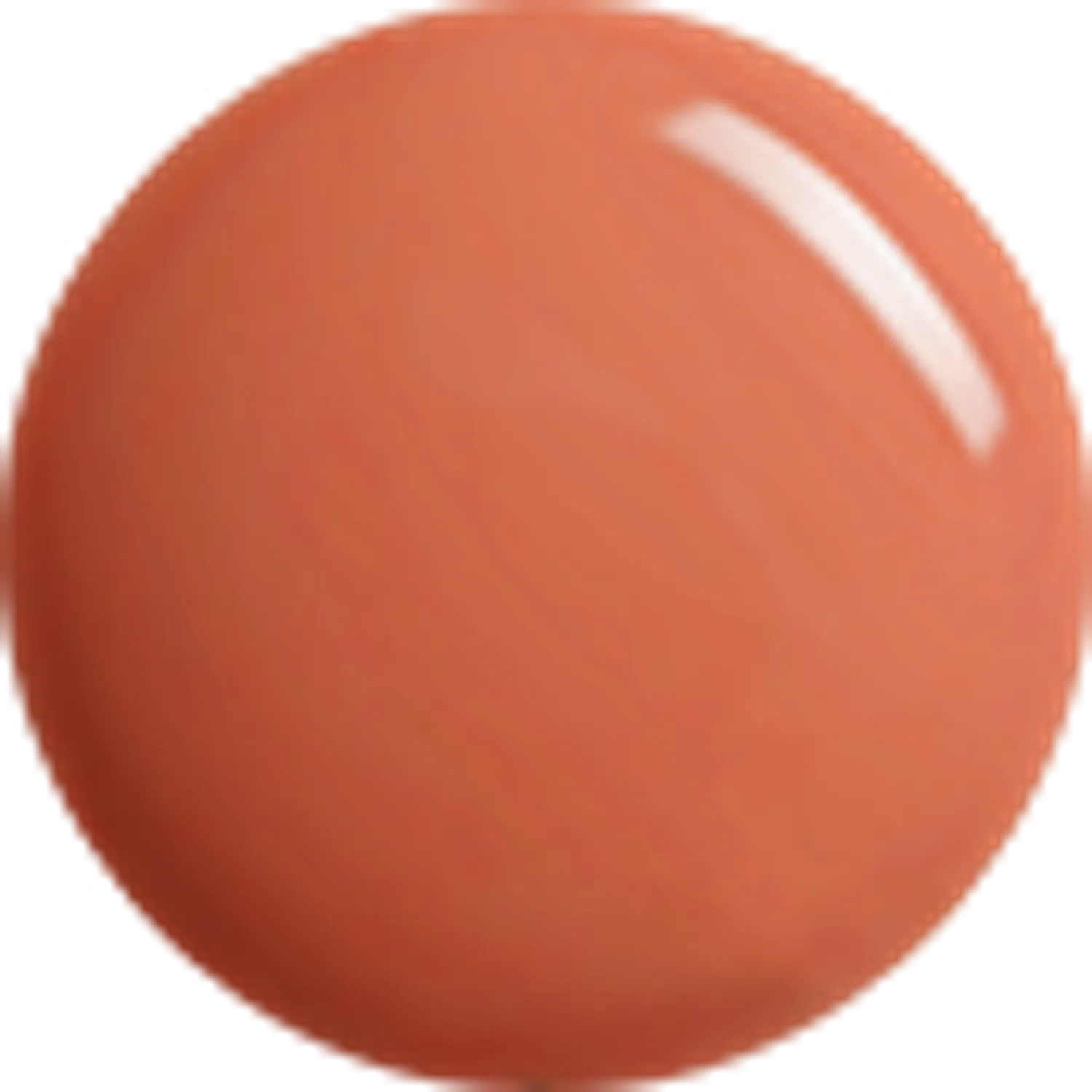 BRAYE Nano Cushion 18g