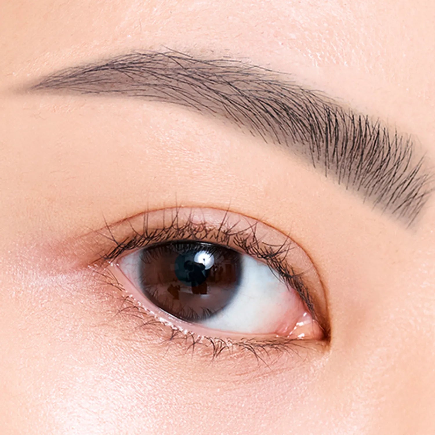 CLIO Kill Brow Auto Hard Brow Pencil (Set/Single) (9 Colors)
