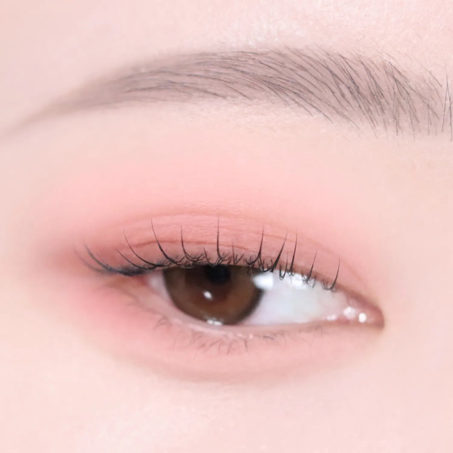 VDL Eyestain Essential Shadow Duo