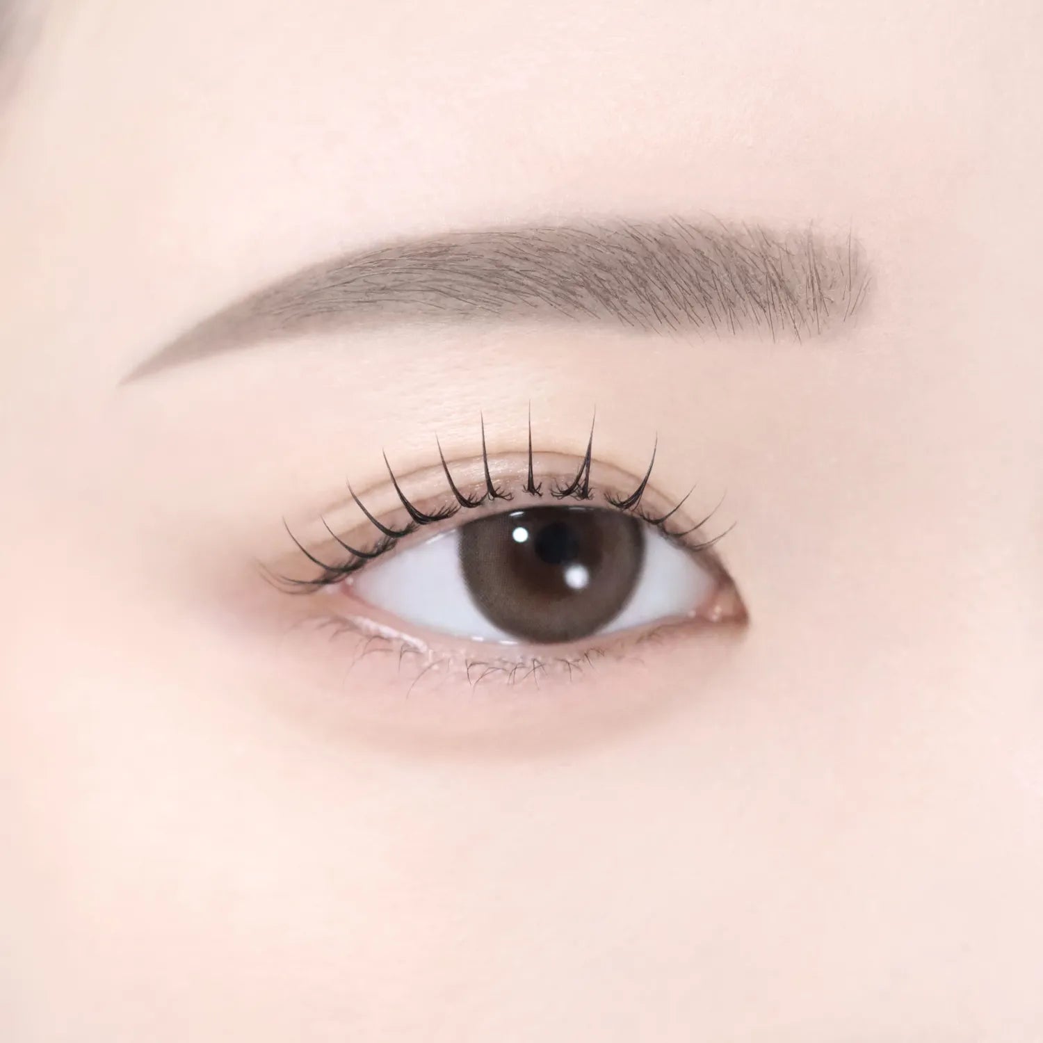 dasique Pro Slim Brow Cara (6 Colors)