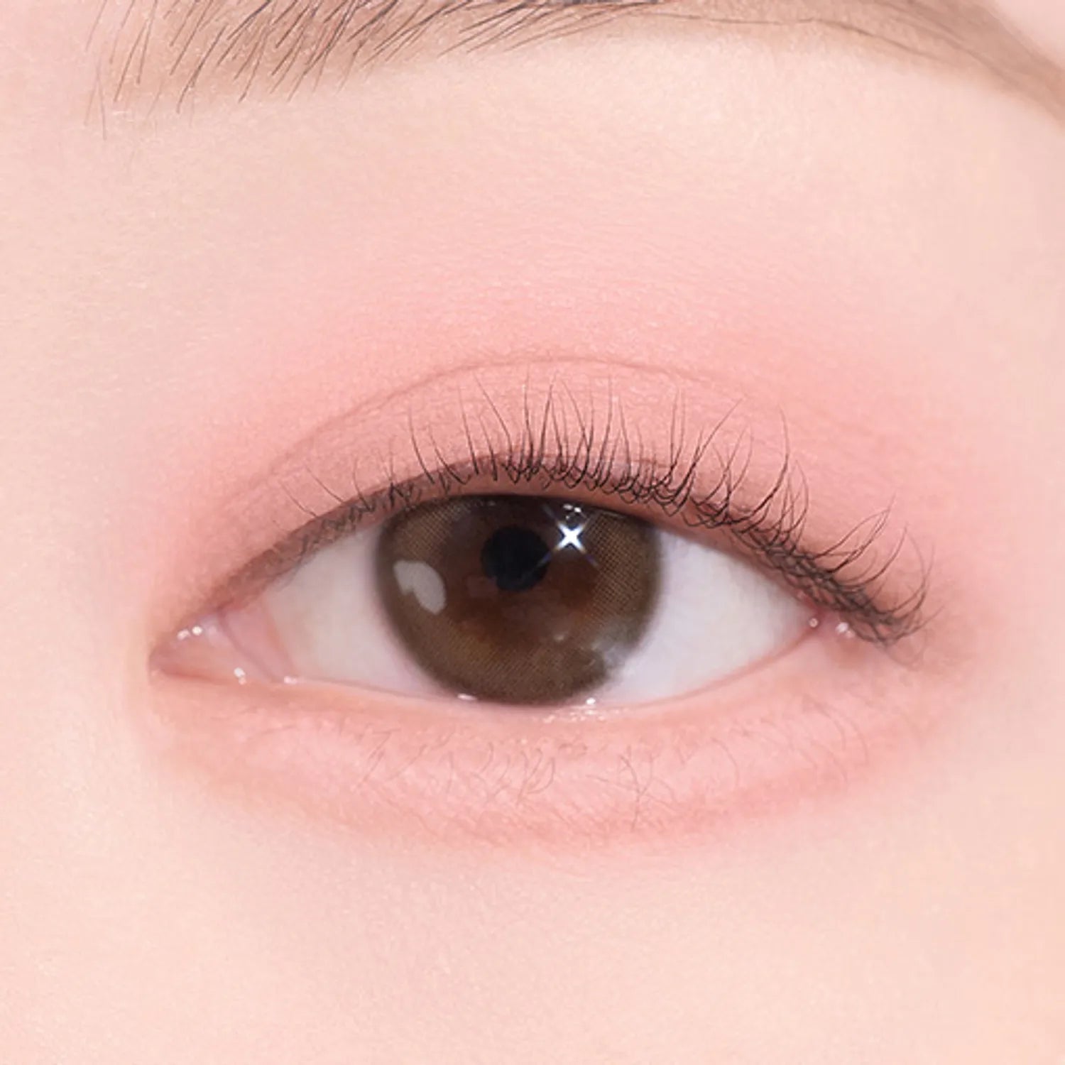 dasique Blooming Single Shadow (9 Colors)