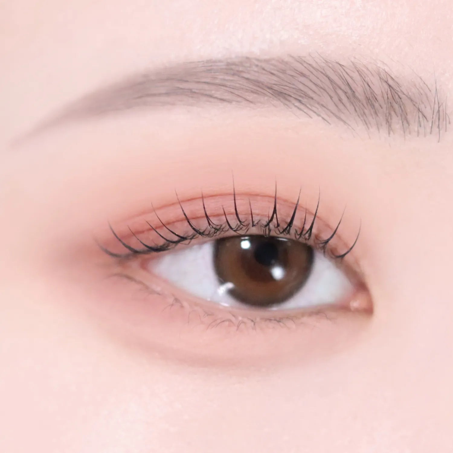 VDL Eyestain Essential Shadow Duo