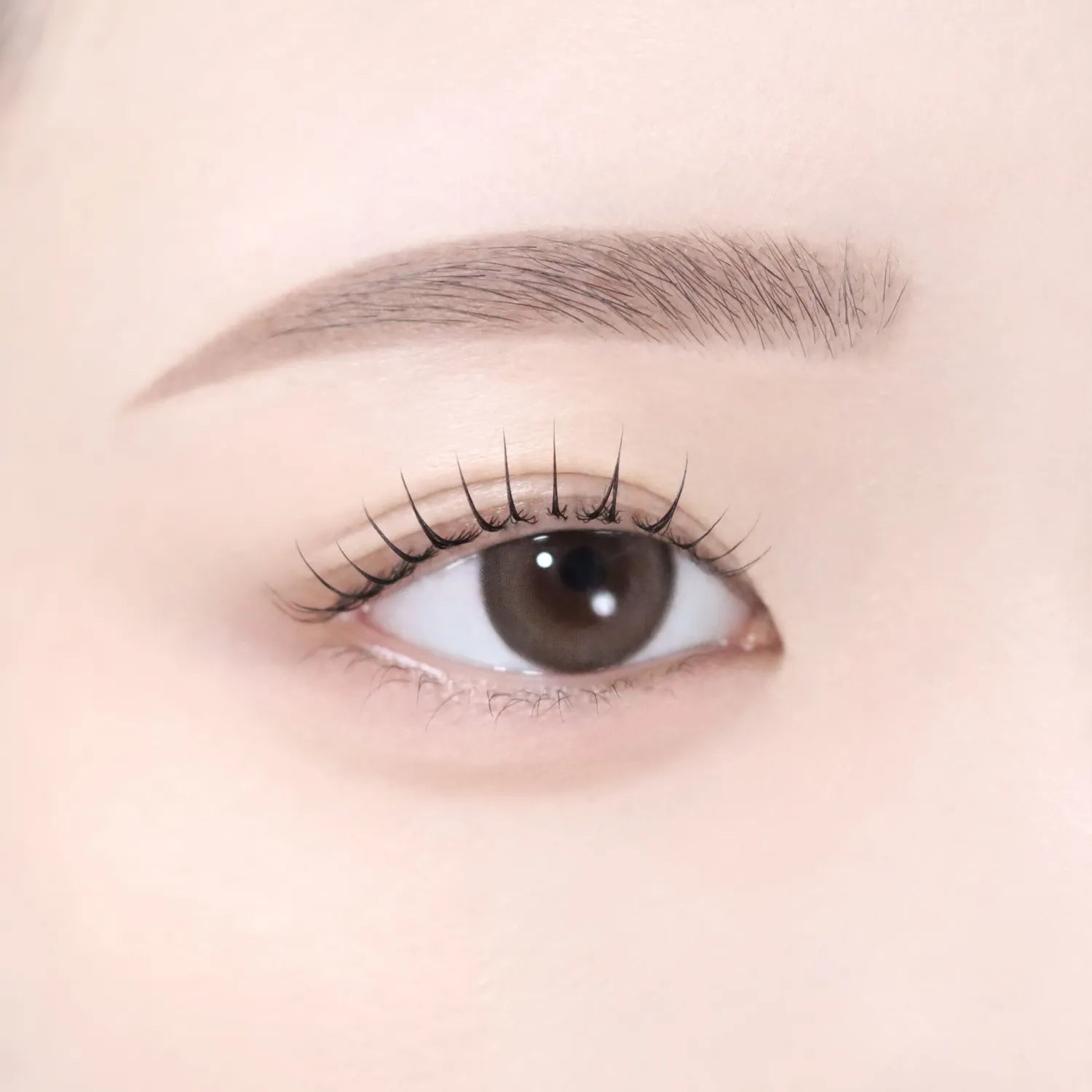 dasique Pro Detail Brow Pencil (6 Colors)