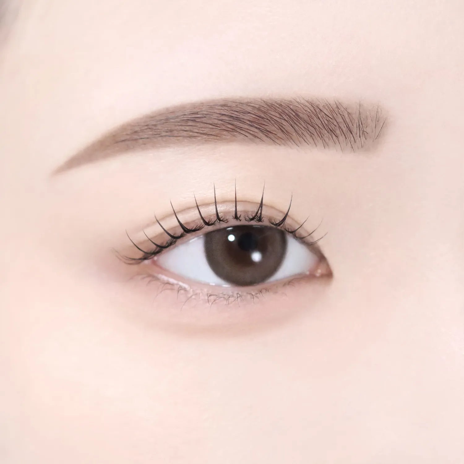 dasique Pro Detail Brow Pencil (6 Colors)