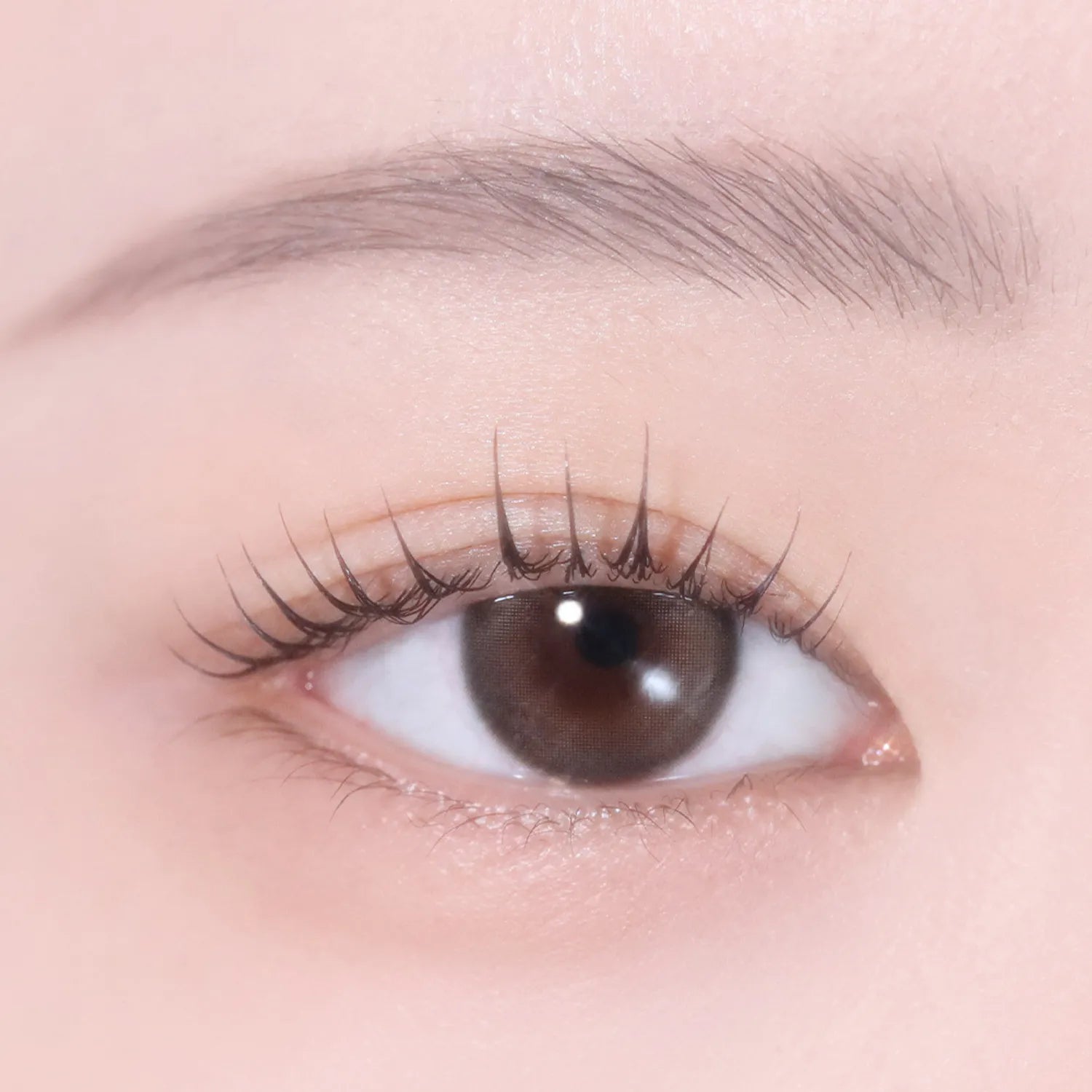 hince Single Eyeshadow (25 Colors)
