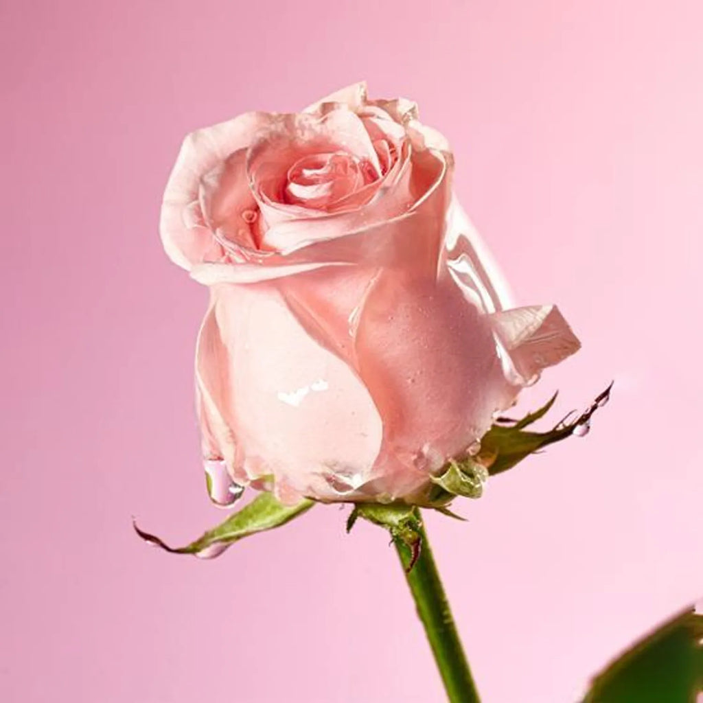 Mamonde Flora Glow Rose Smoothing Cream 50mL