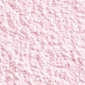 Wonjungyo Fixing Blur Powder (2 Colors)