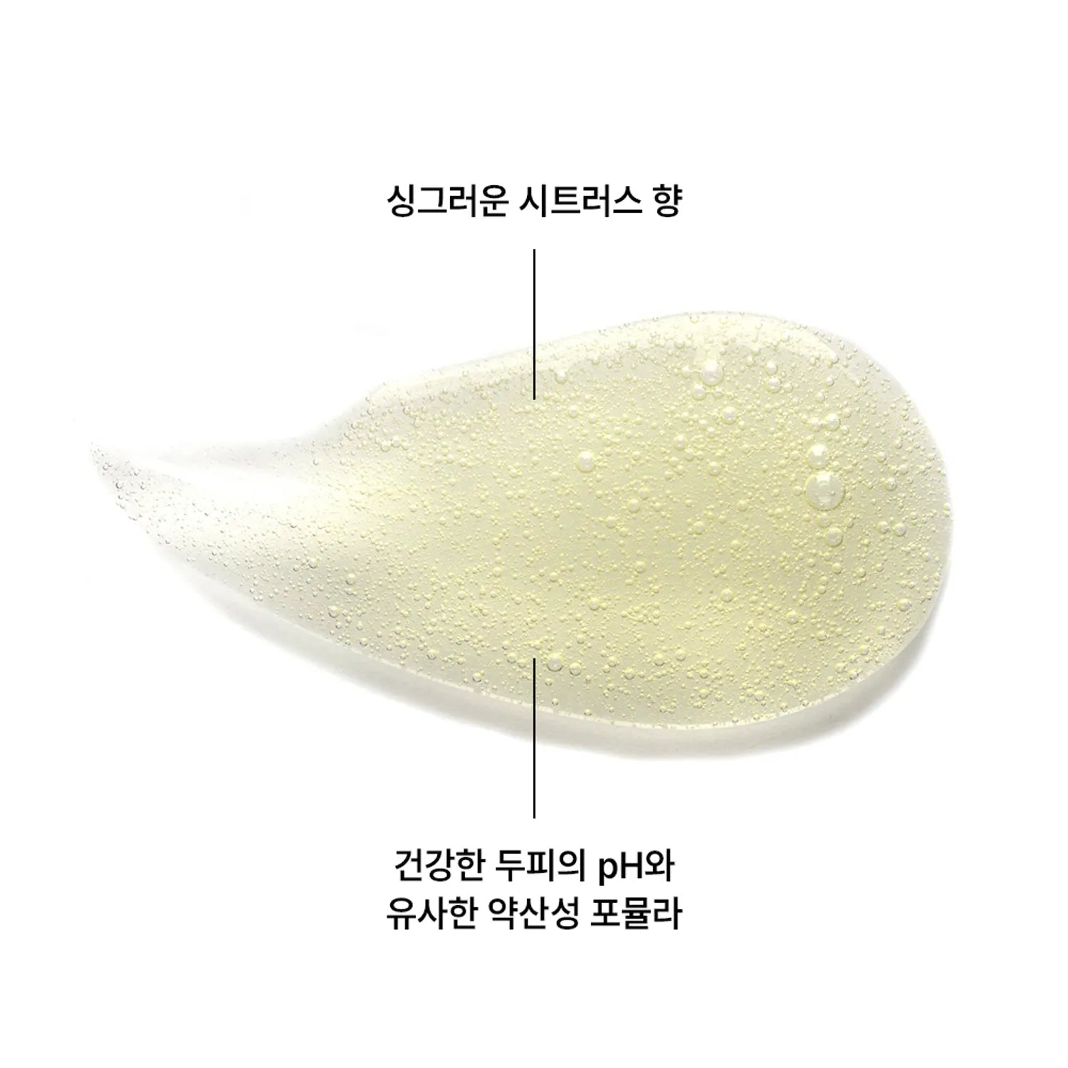 KLORANE Citrus Shampoo 400mL