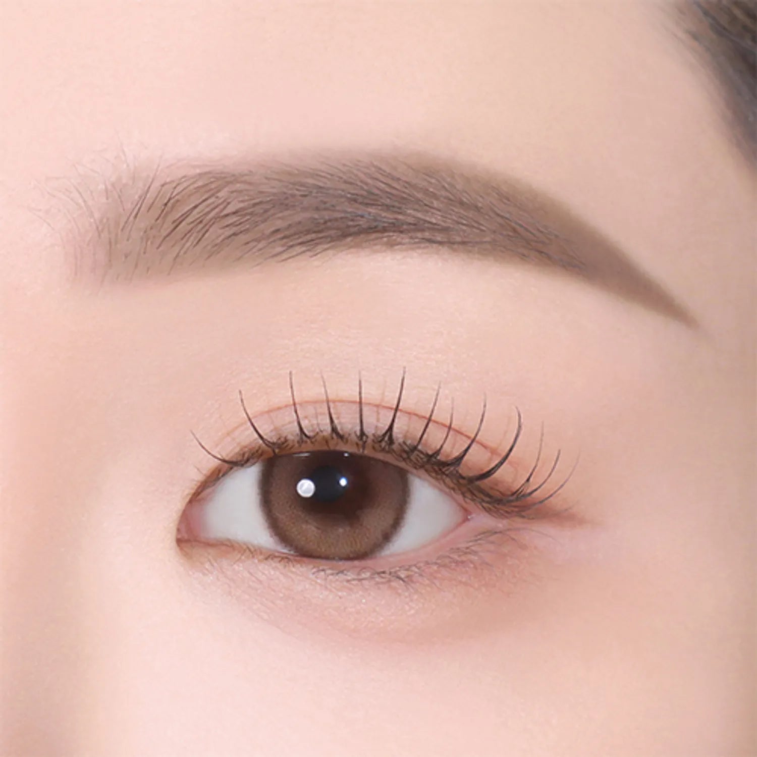 CLIO Kill Brow Auto Hard Brow Pencil (Set/Single) (9 Colors)