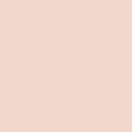 JUNGSAEMMOOL Skin Nuder Concealer 6g