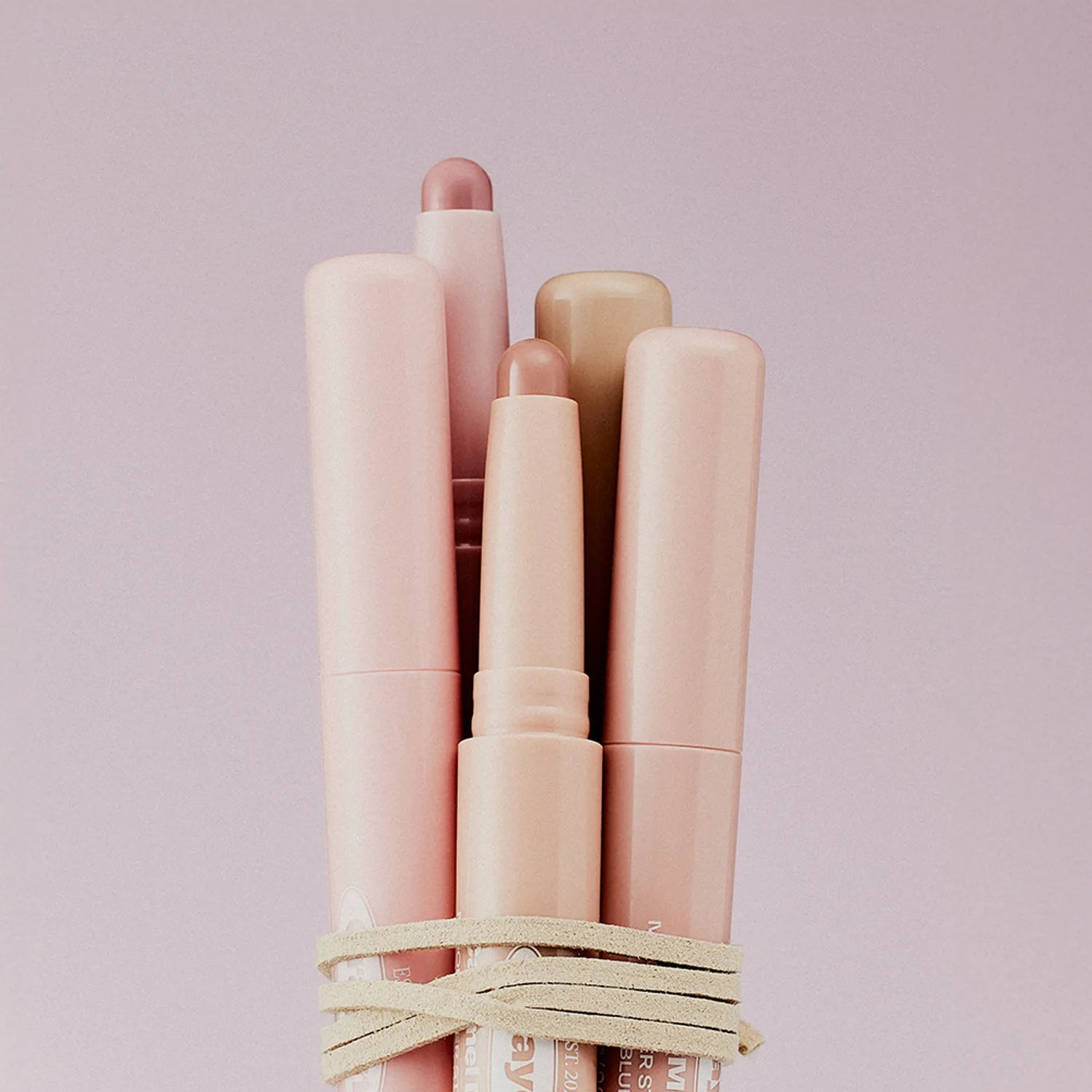 Alternative stereo Mood Layer Stick Crayon (5 Colors)