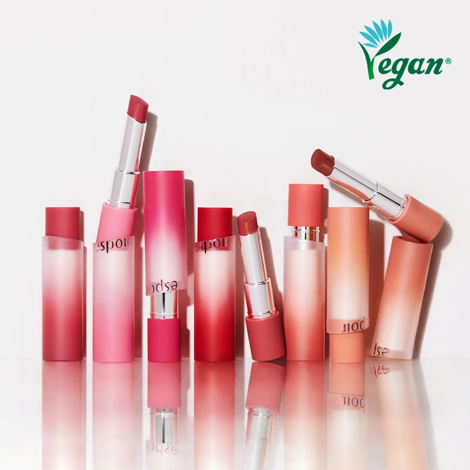 espoir Nowear Lipstick Volume Matte 3g