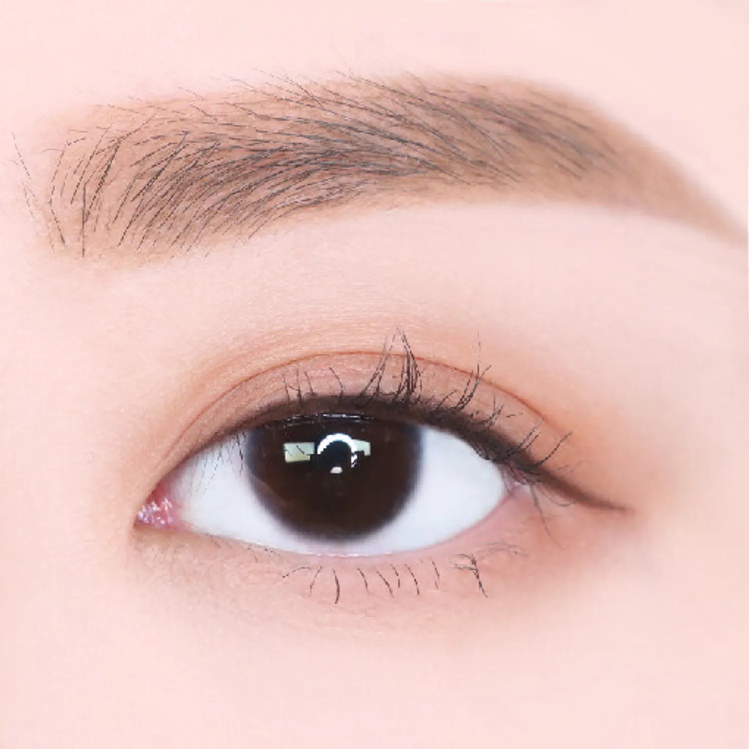 lilybyred Hard Flat Brow Pencil (4 Options)