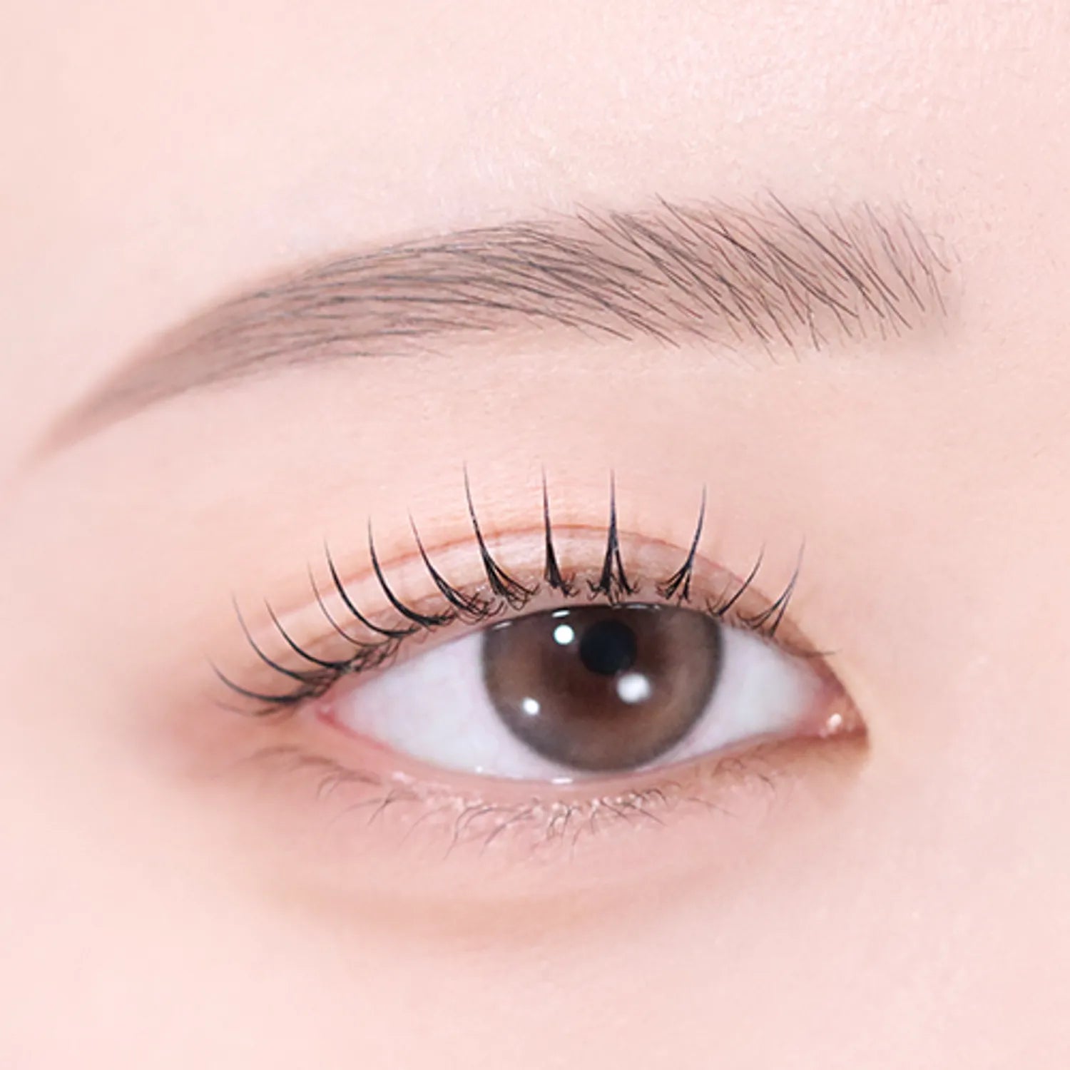 peripera Speedy Eyebrow Auto Pencil (5 Colors)