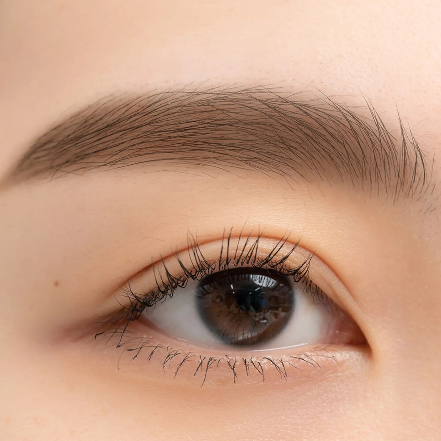 rom&nd Han All Sharp Brow (6 Colors)