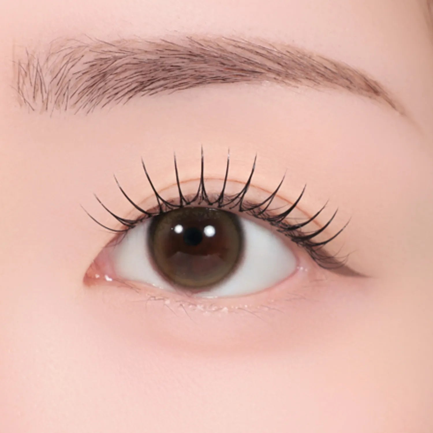 colorgram Shade Re-Forming Brush Liner (11 Colors)