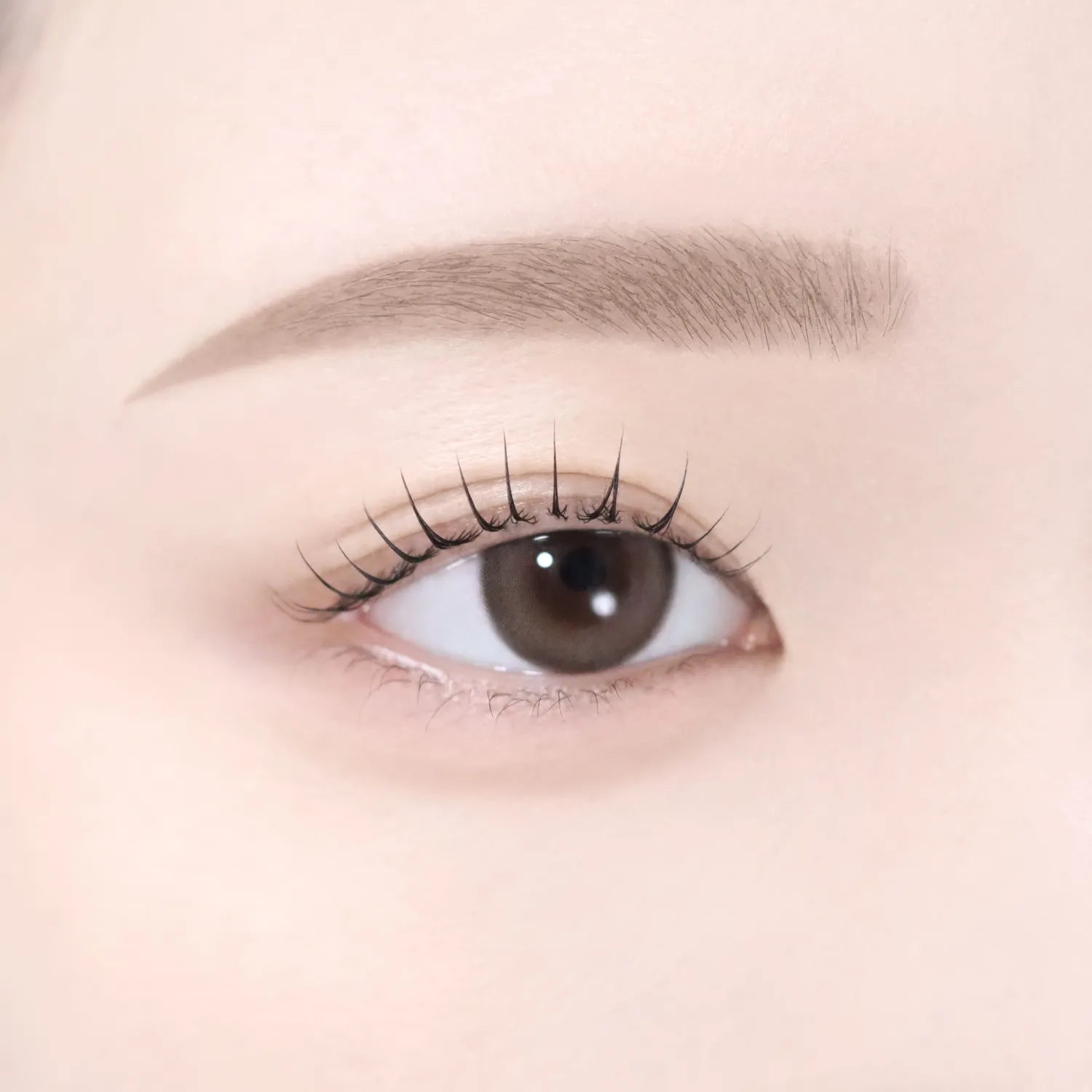 dasique Pro Slim Brow Cara (6 Colors)
