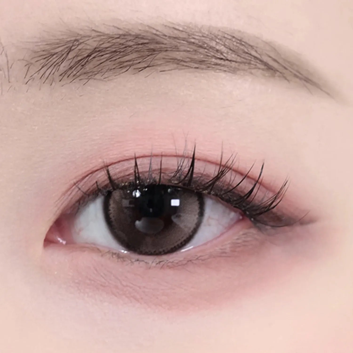 lilybyred Mood It Palette (7 Options)