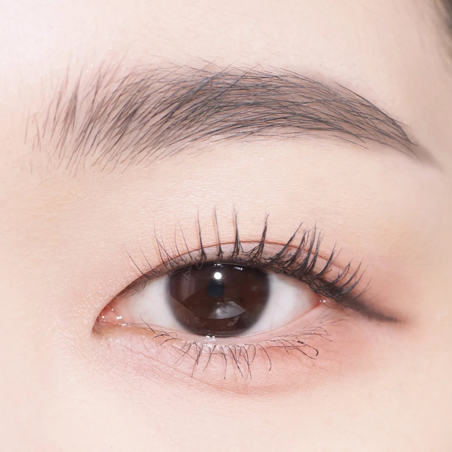 COSNORI Easy Draw Auto Eyebrow (5 Colors)