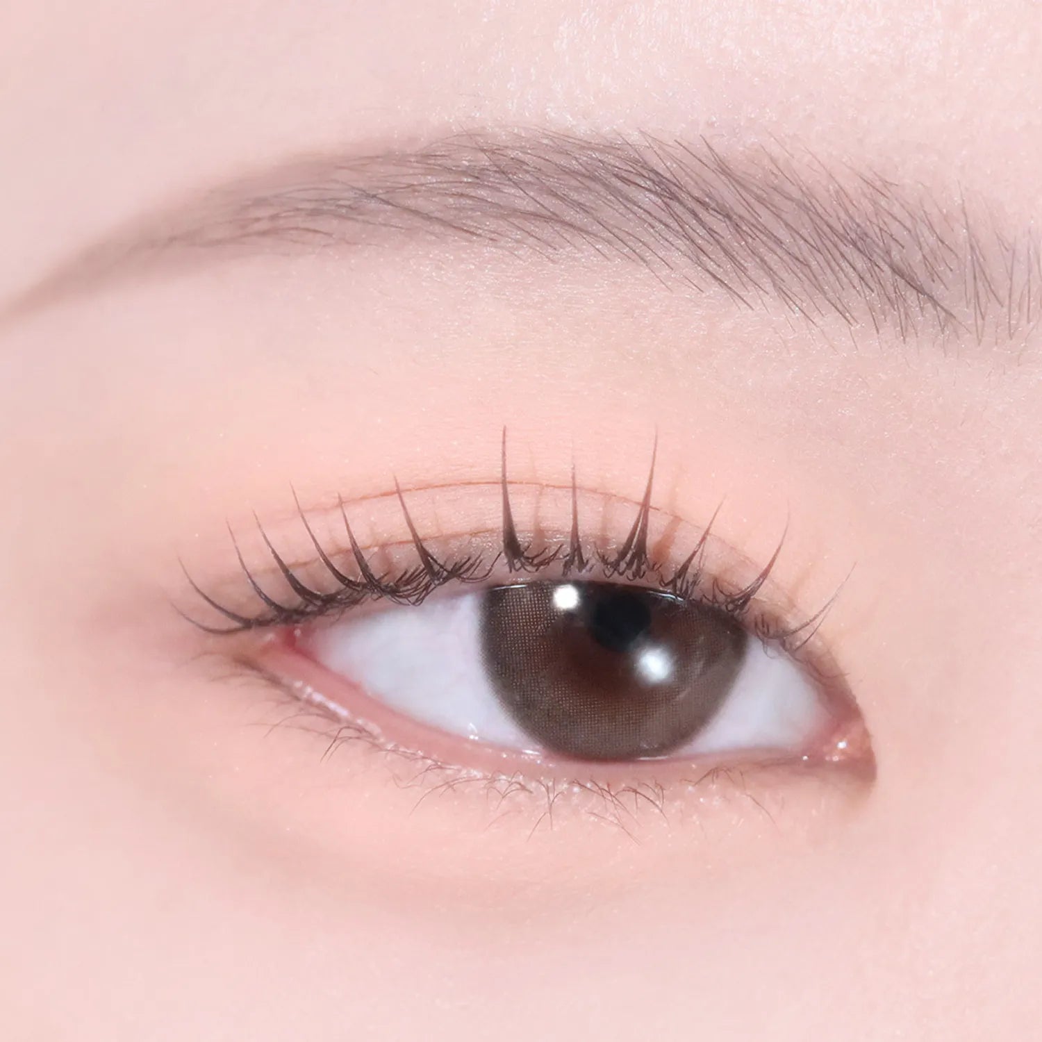 hince Single Eyeshadow (25 Colors)