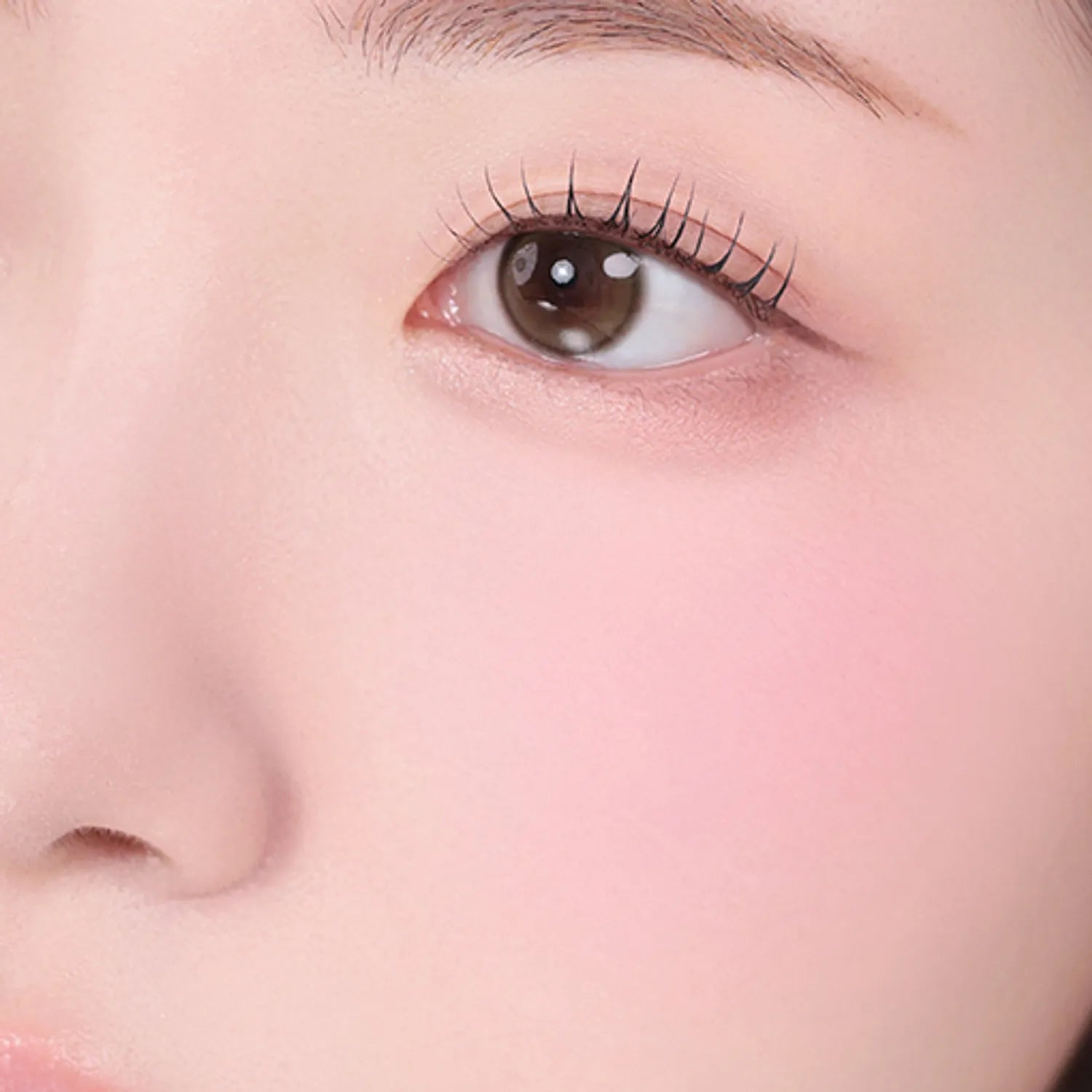 2aN Dual Cheek (Set/Single) (19 Colors)