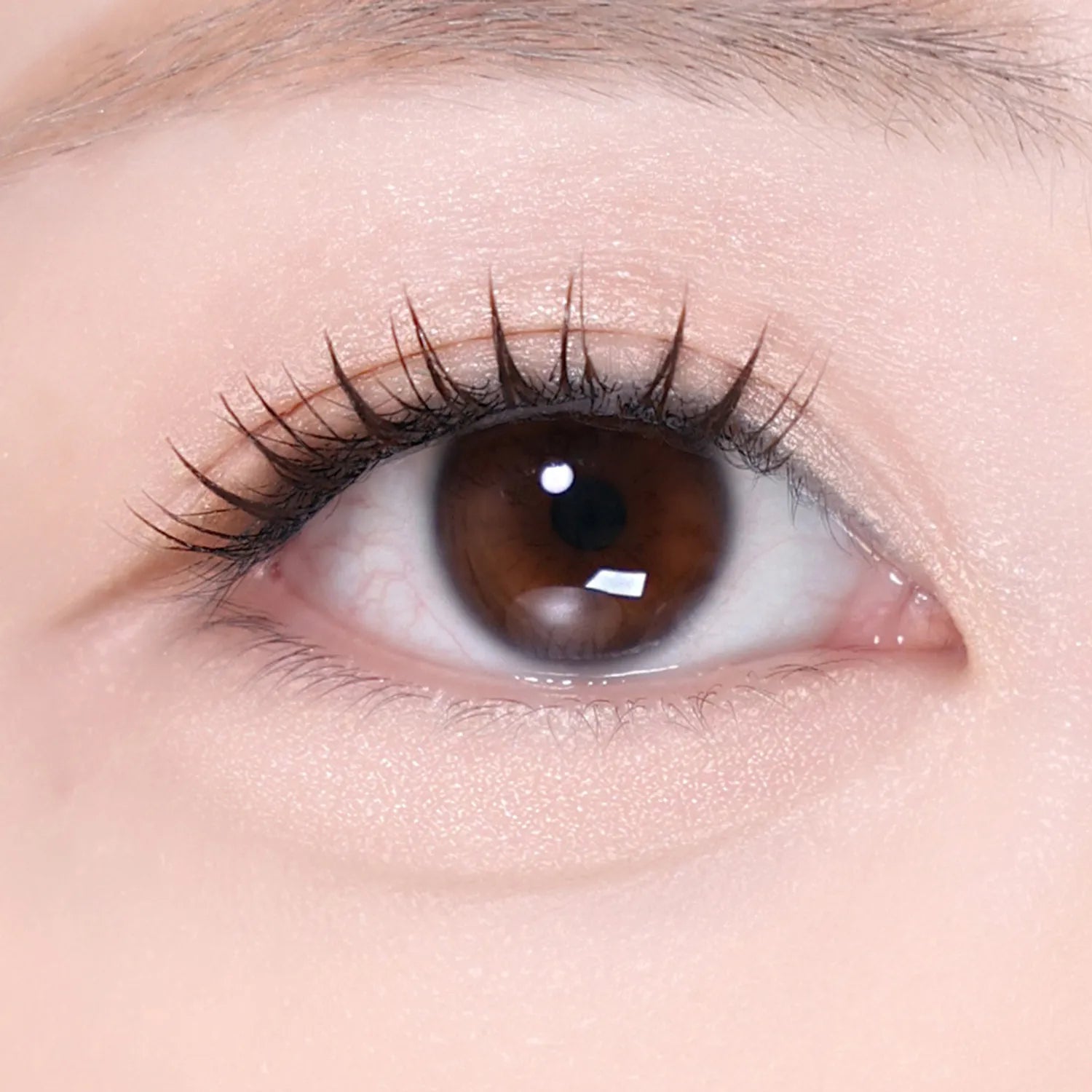 Wonjungyo Nude Eyelash (3 Colors)