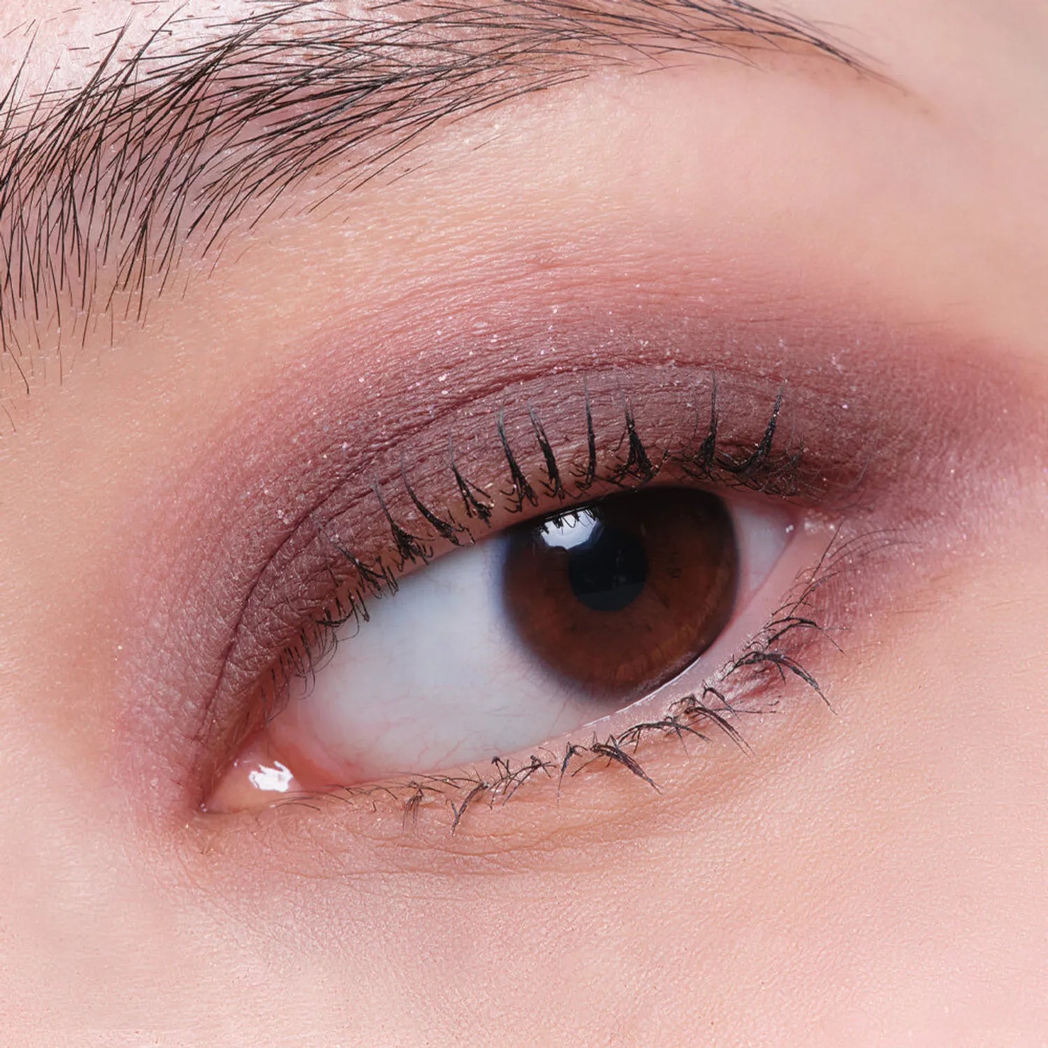 mude. Shawl Moment Eyeshadow Palette 4 Options