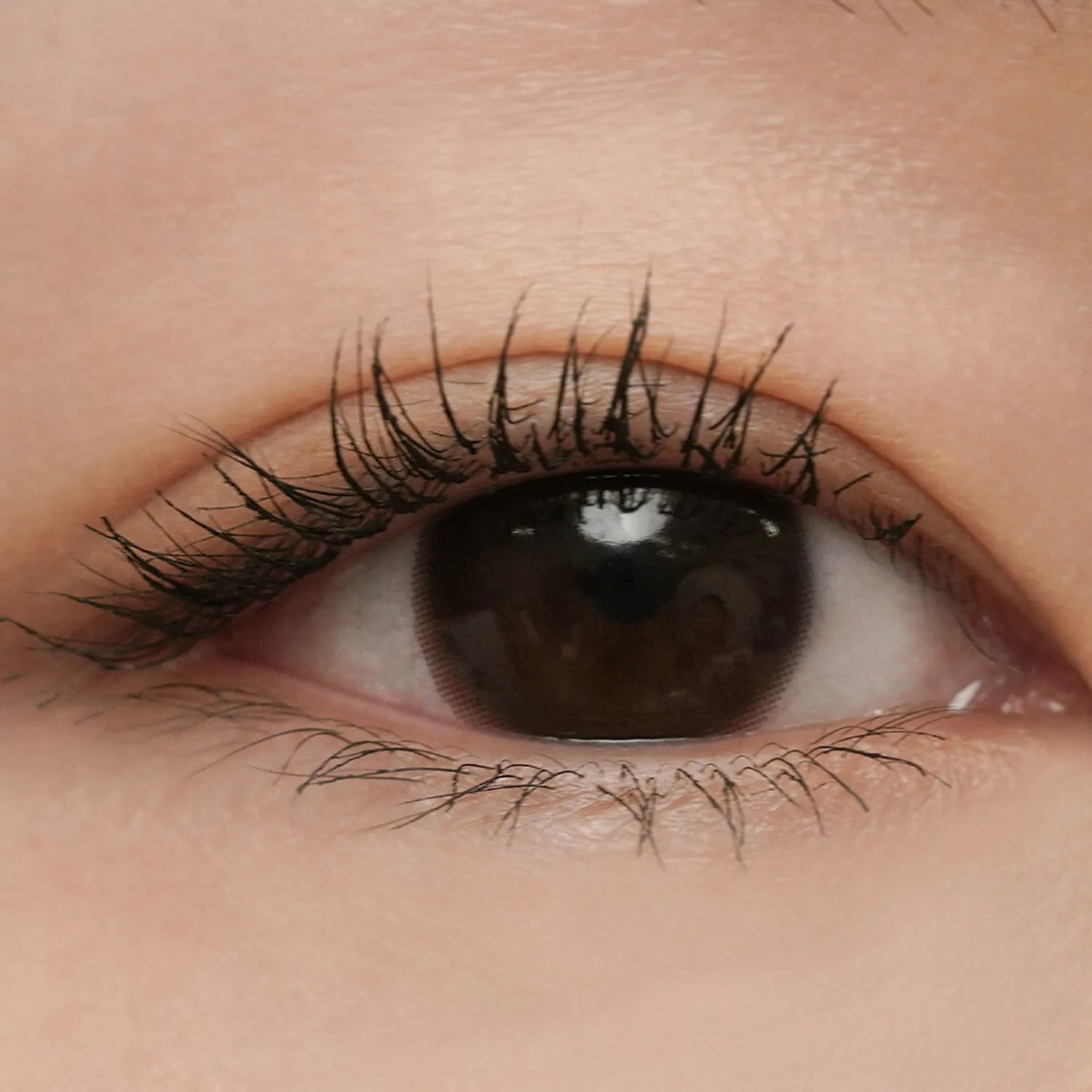 rom&nd Han All Fix Mascara 7g