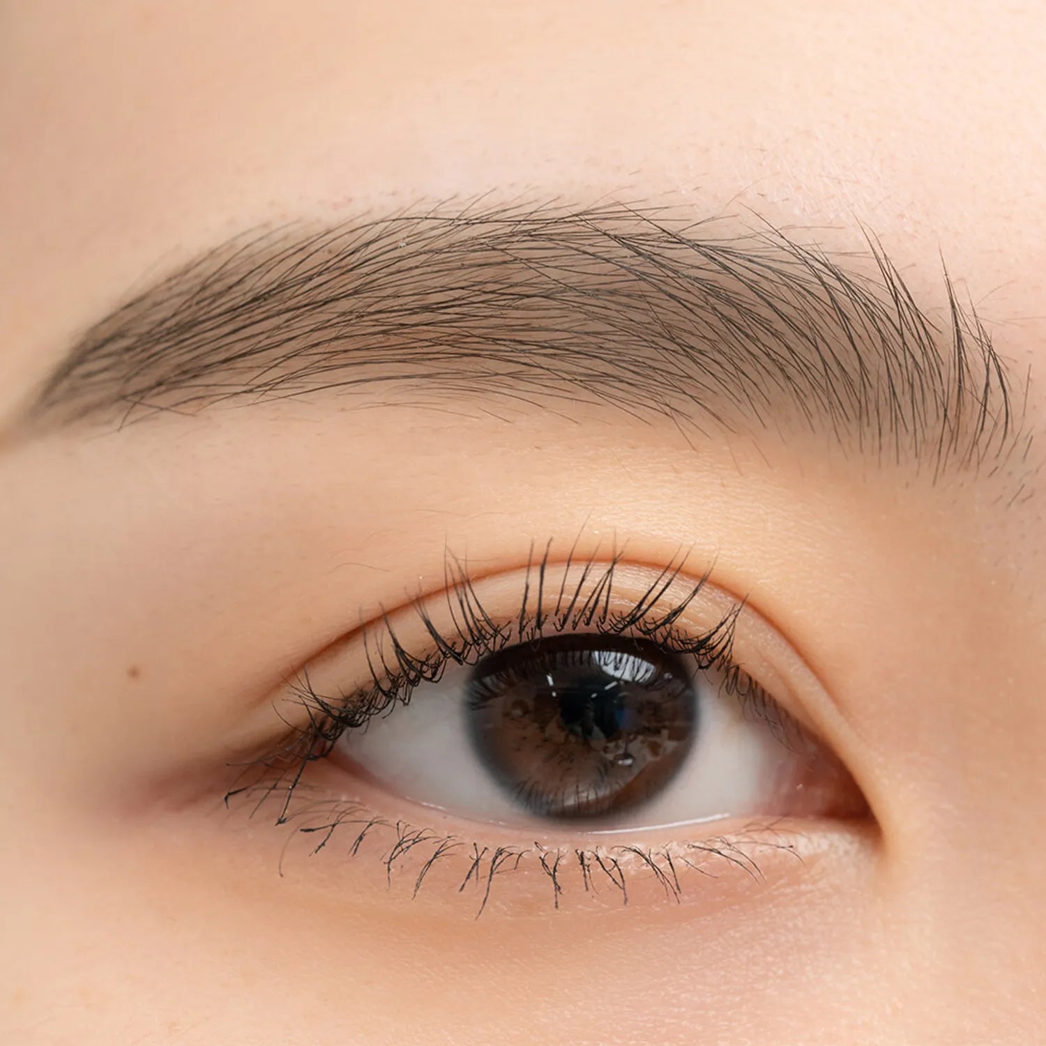 rom&nd Han All Sharp Brow (6 Colors)
