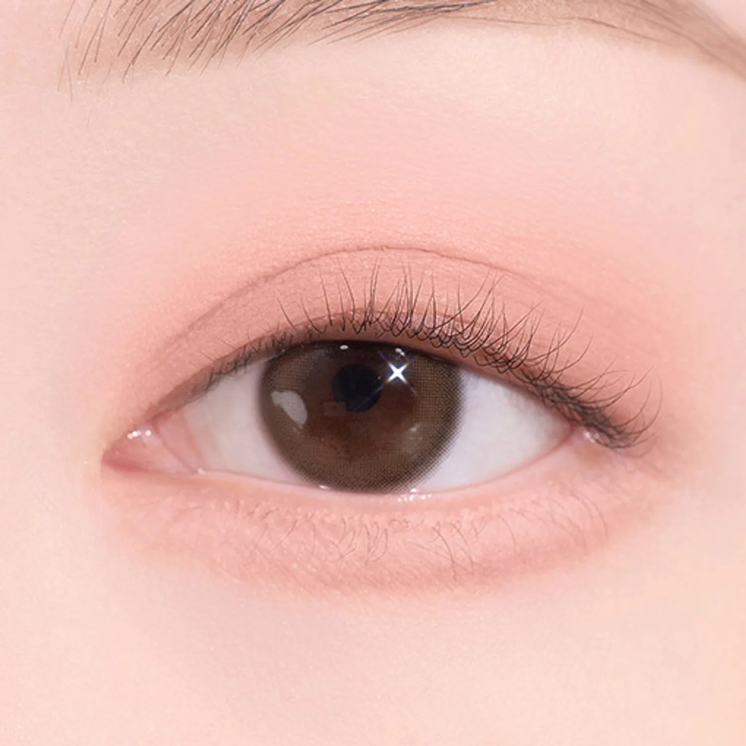 dasique Blooming Single Shadow (9 Colors)