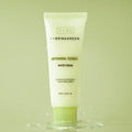 BRINGGREEN Artemisia Calming EX Water Cream 100ml